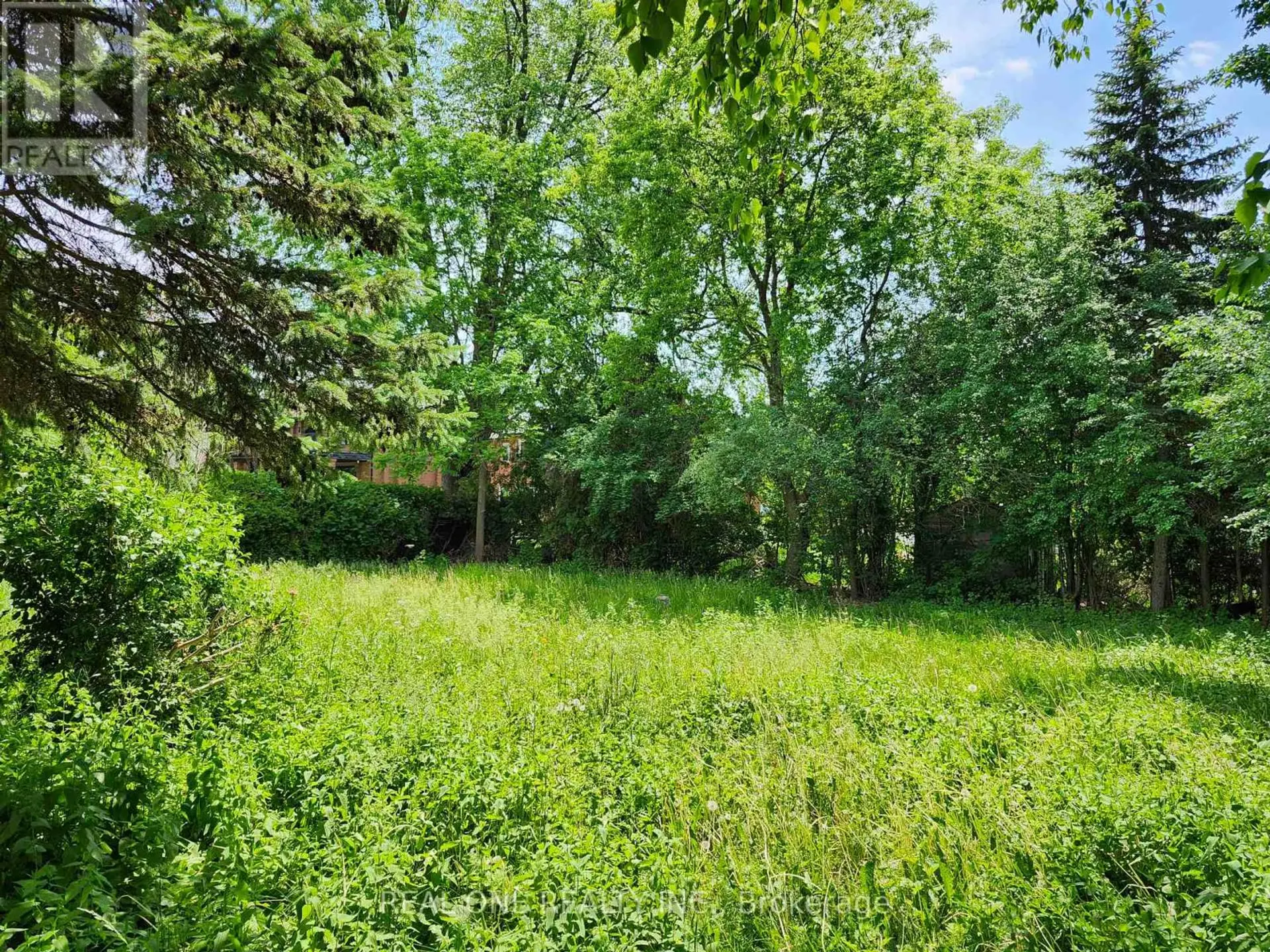 33 URBANDALE AVENUE - Image 12
