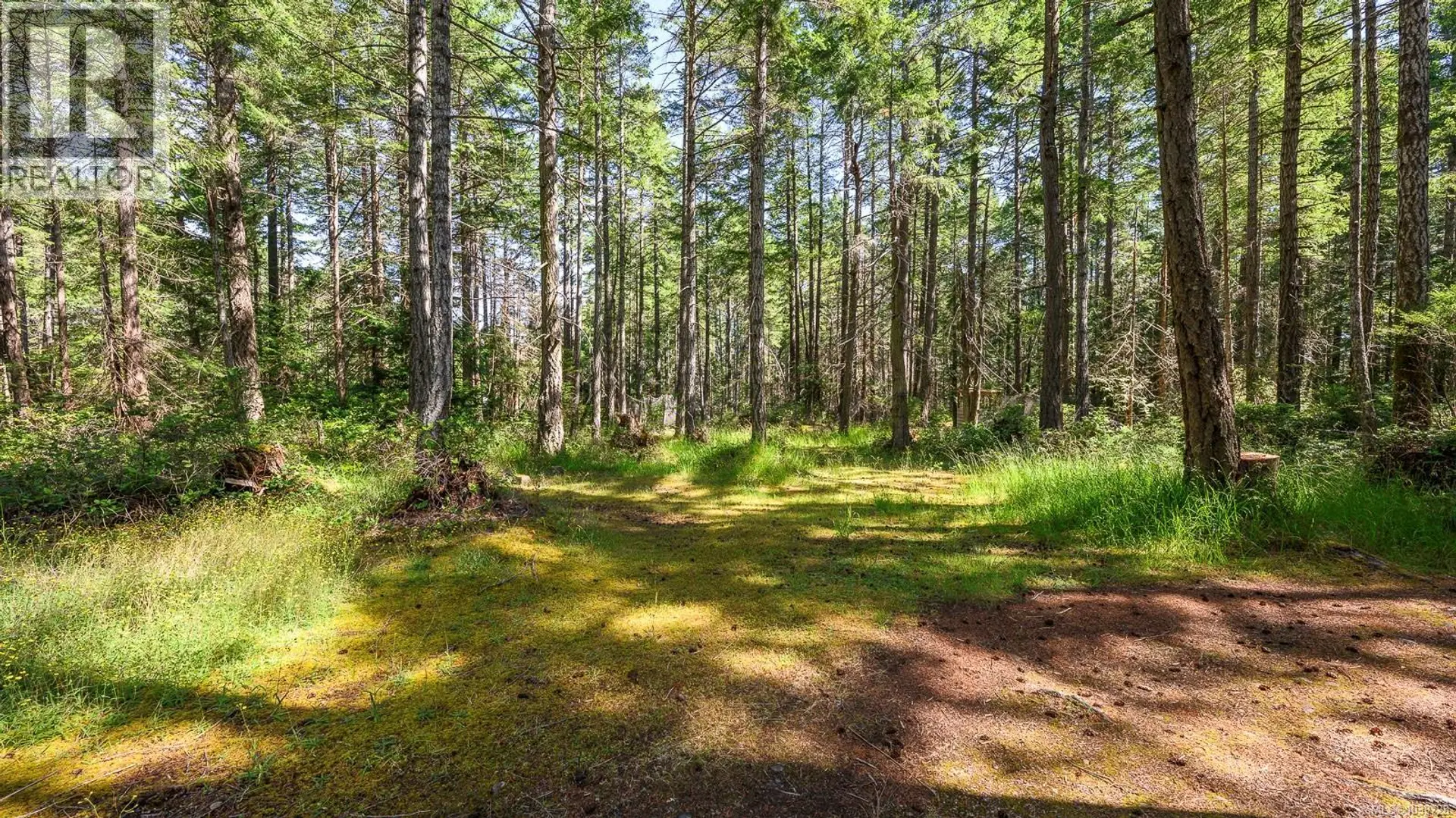 6535 St Johns Point Rd - Image 19