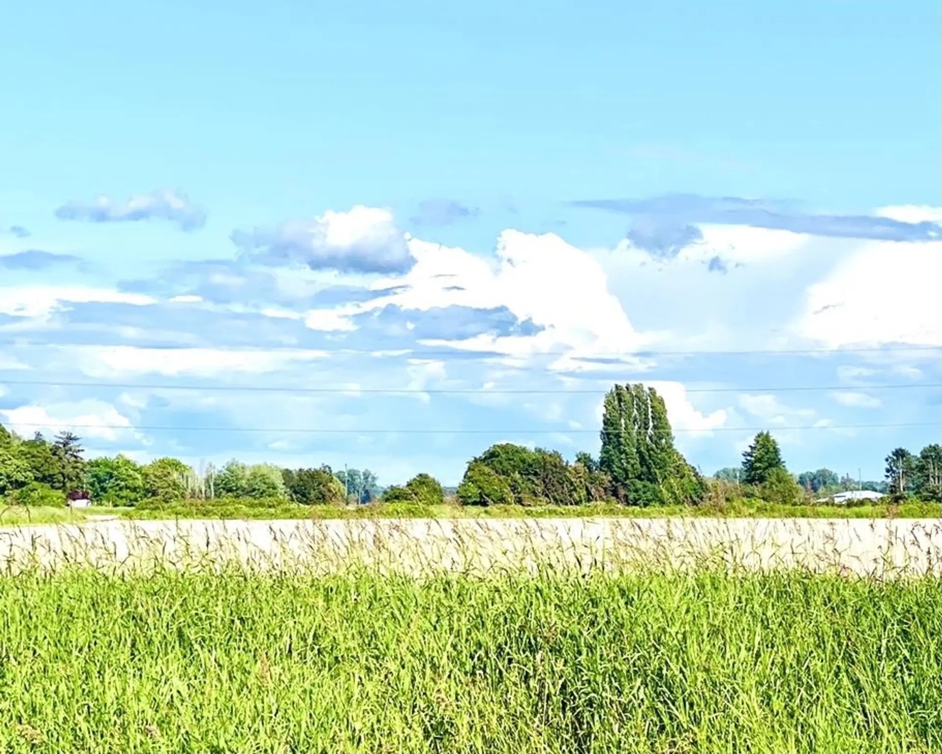 Property at 13091 NO. 3 ROAD, Richmond, BC