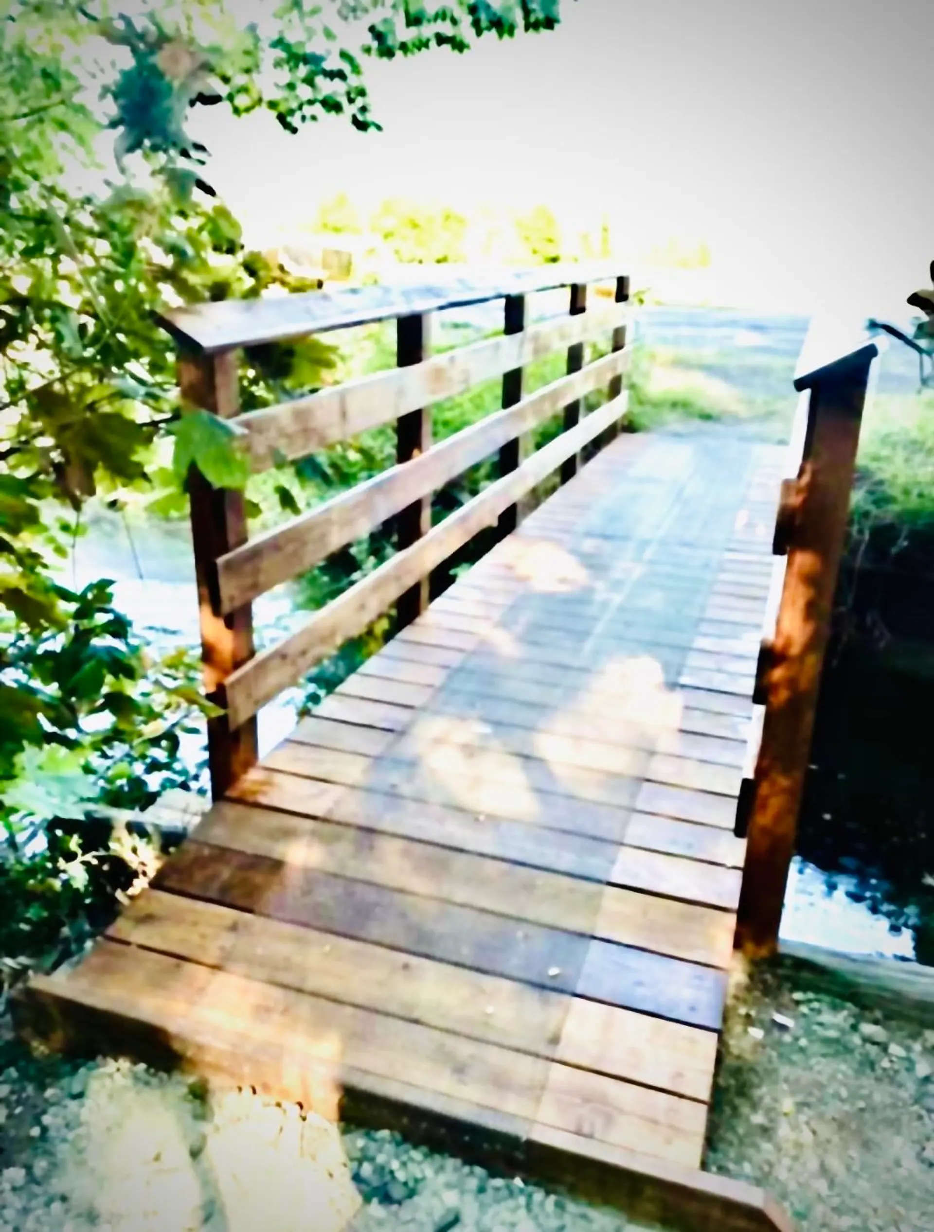 Property at 13091 NO. 3 ROAD, Richmond, BC