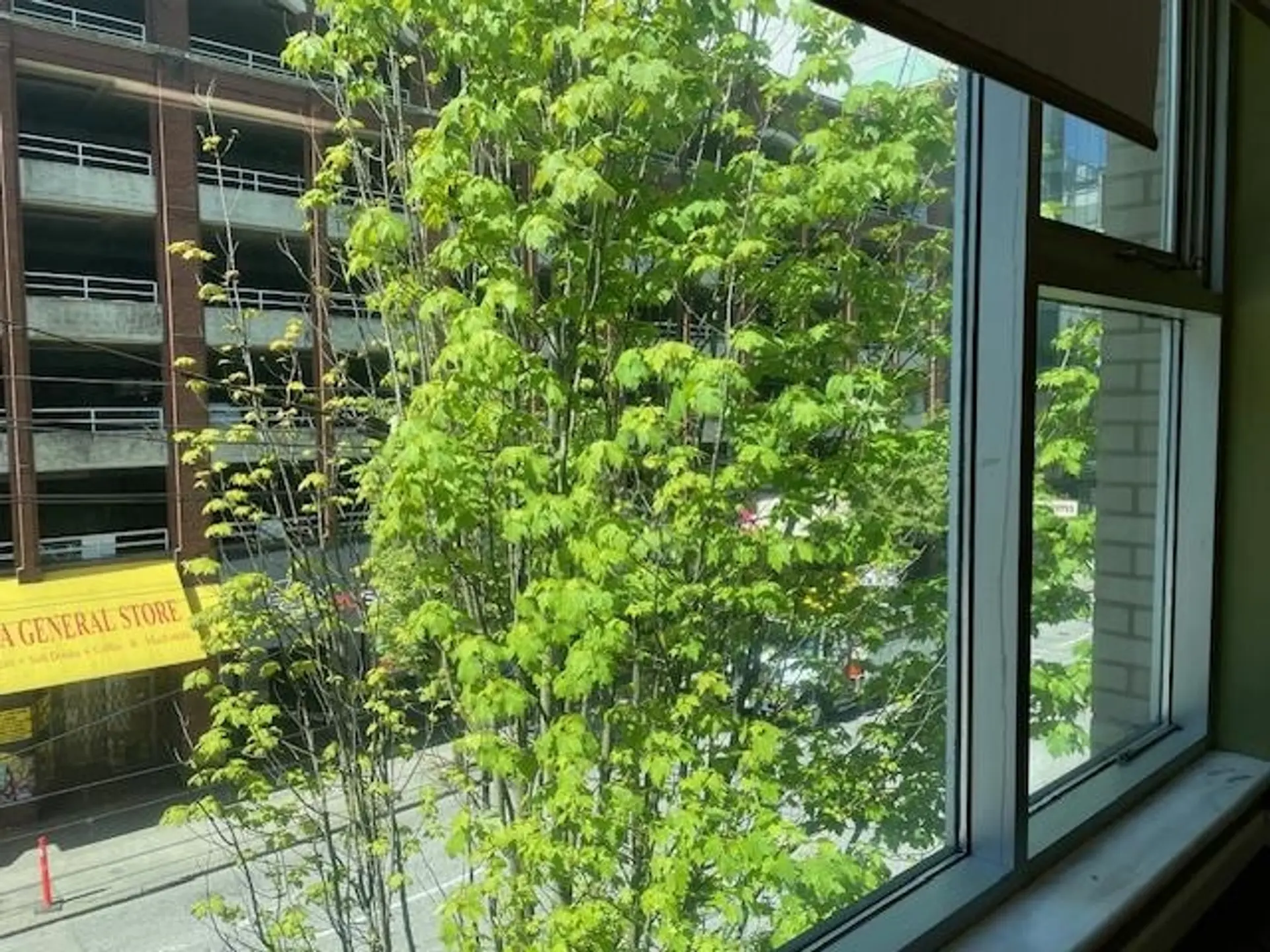 Property at #314 515 W PENDER STREET, Vancouver, BC