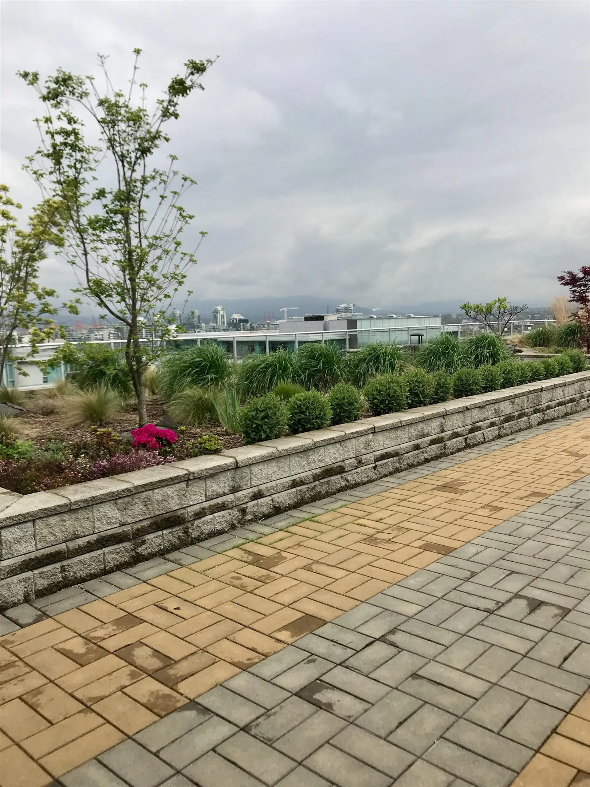 Property at #502 550 W BROADWAY, Vancouver, BC