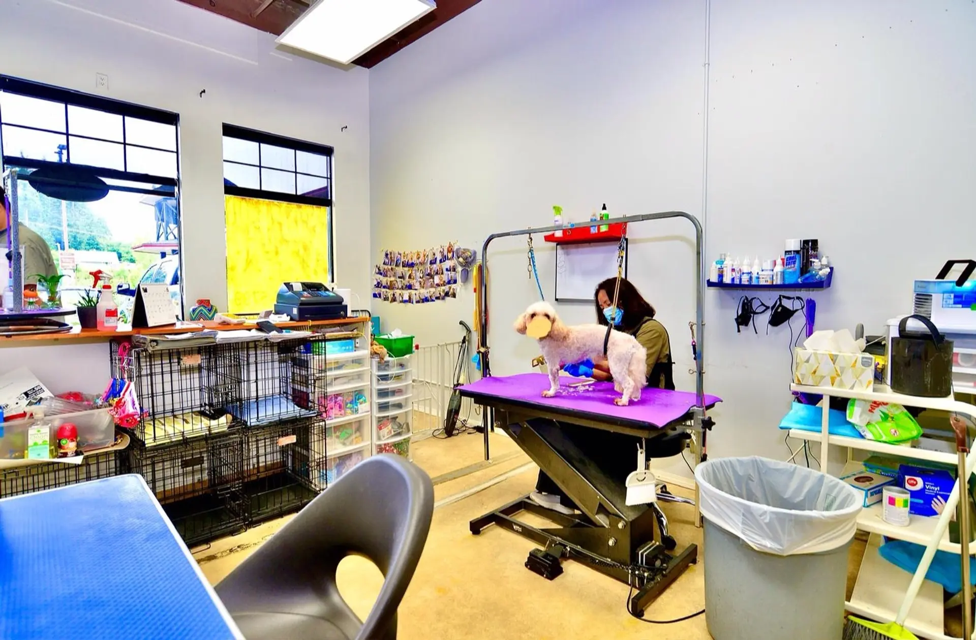 Property at #14 2662 AUSTIN AVENUE, Coquitlam, BC