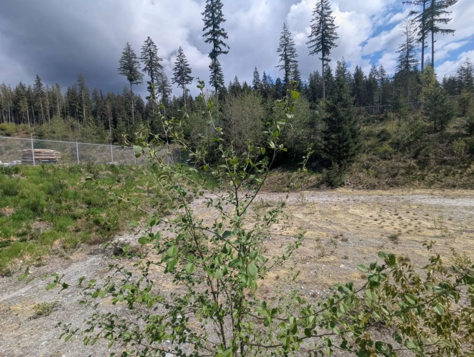 Property at 13030 LILLEY DRIVE, Maple Ridge, BC