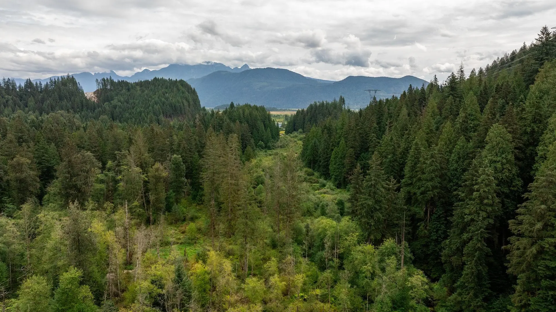 Property at 0 QUARRY ROAD, Coquitlam, BC