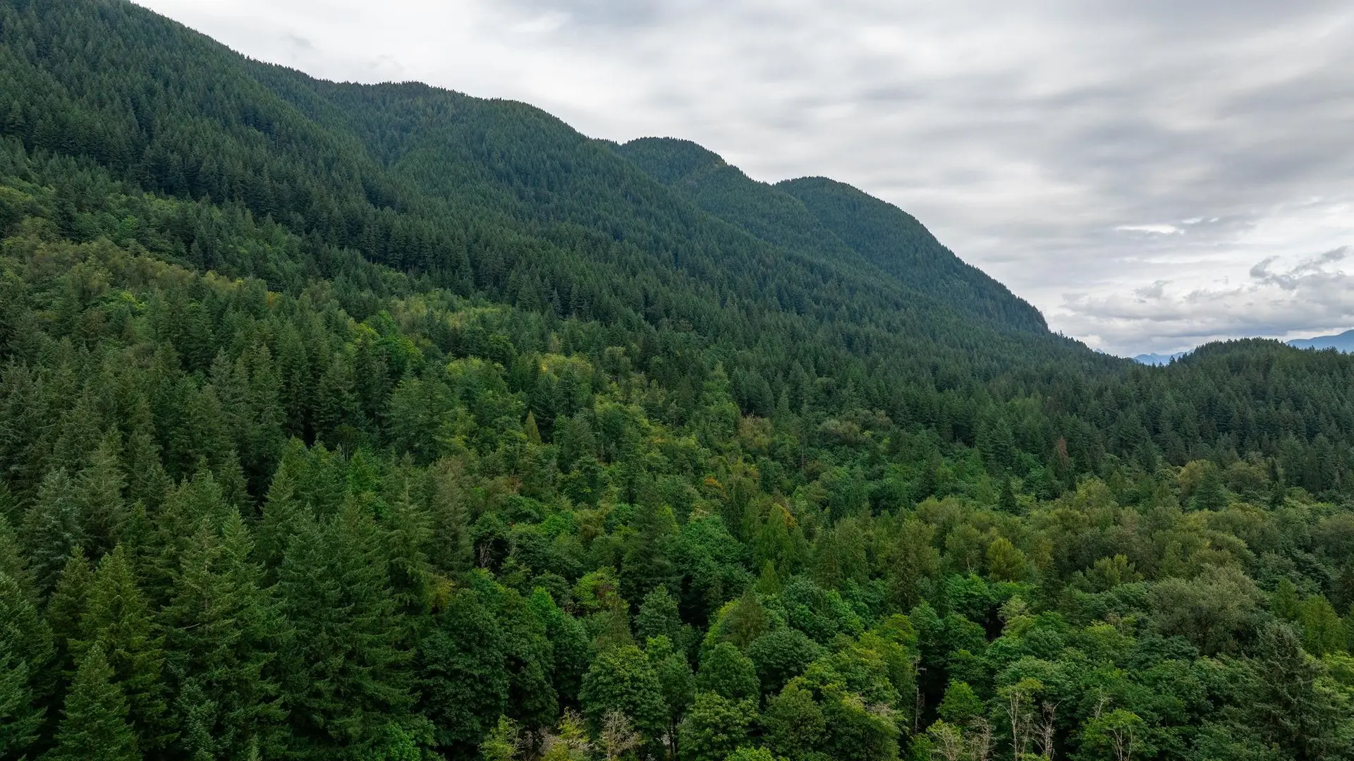 Property at 0 QUARRY ROAD, Coquitlam, BC