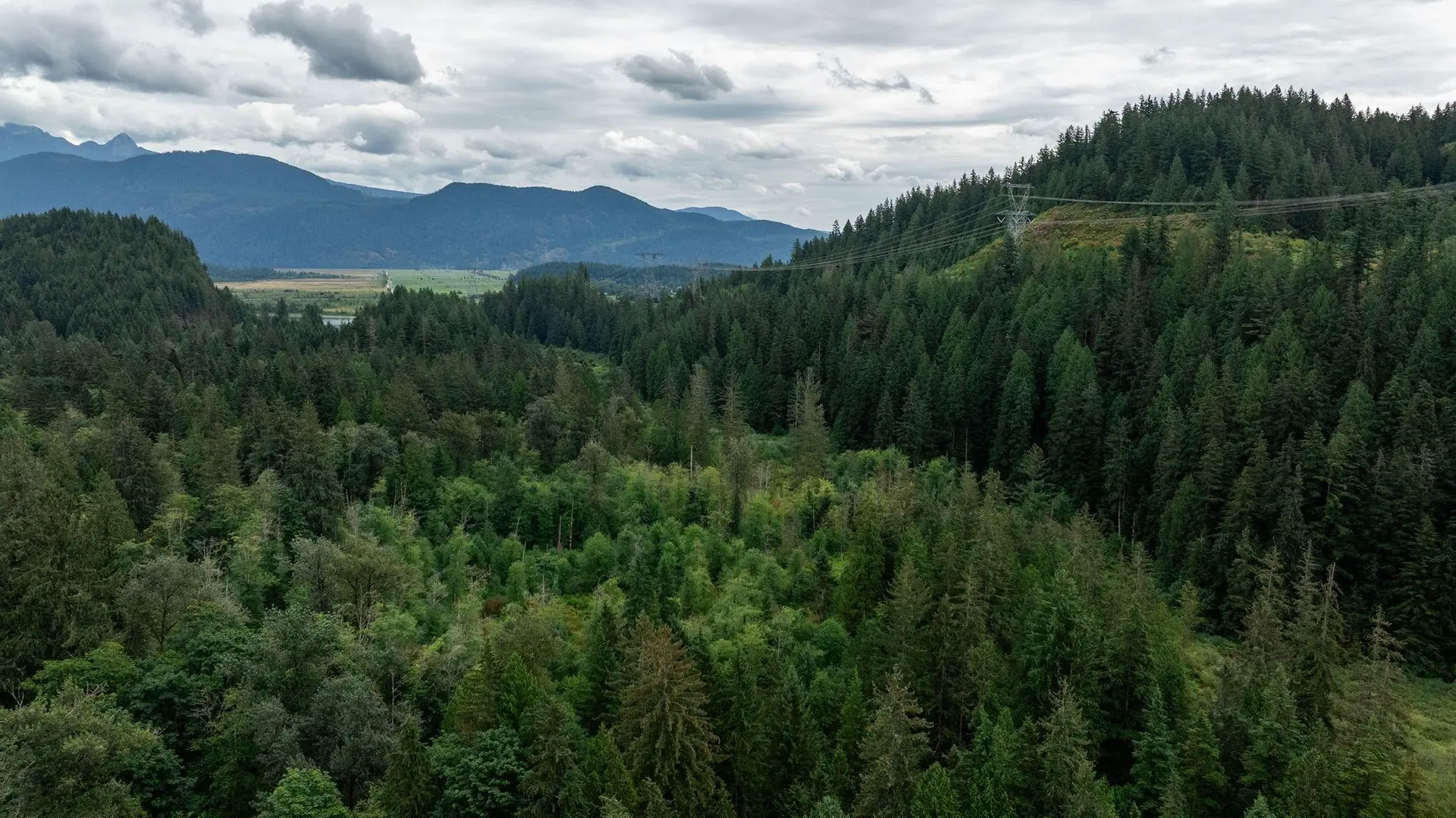 Property at 0 QUARRY ROAD, Coquitlam, BC