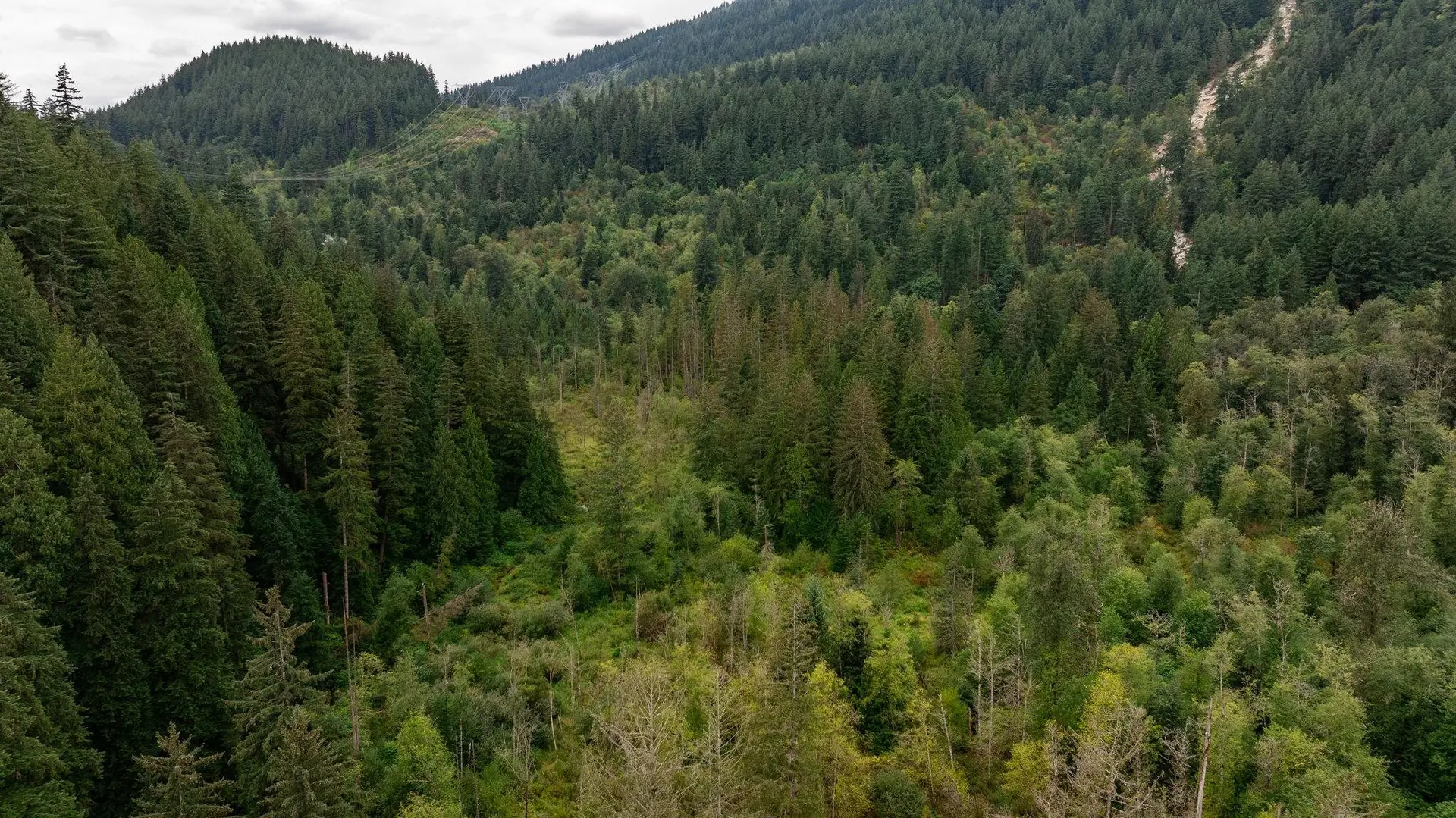 Property at 0 QUARRY ROAD, Coquitlam, BC