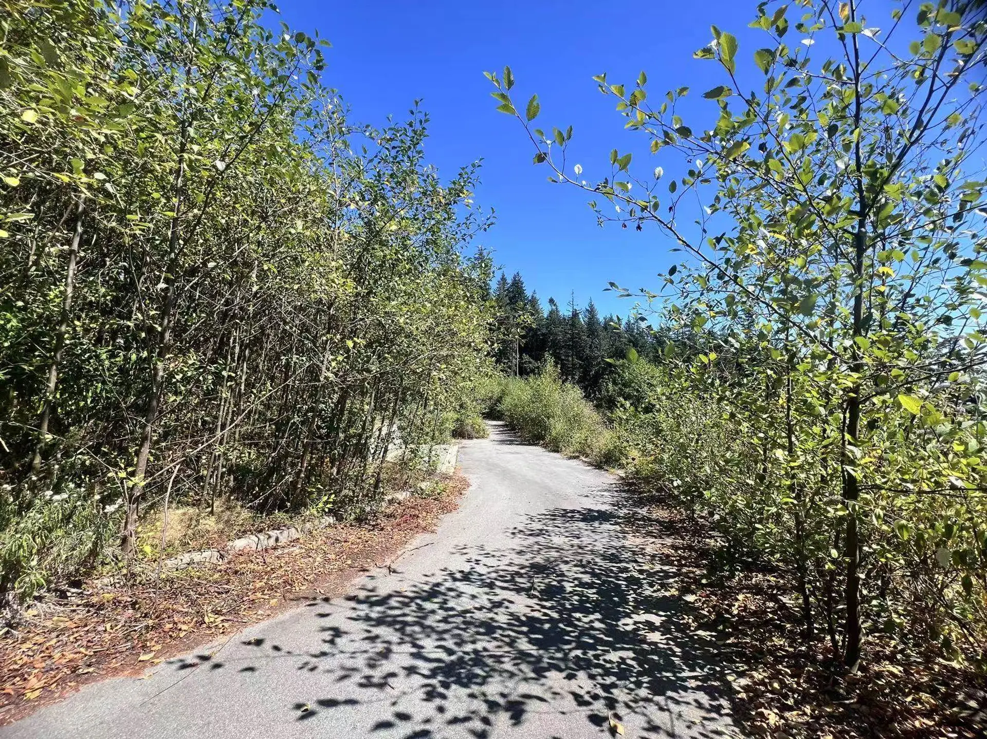 Property at 4140 CYPRESS BOWL ROAD, West Vancouver, BC