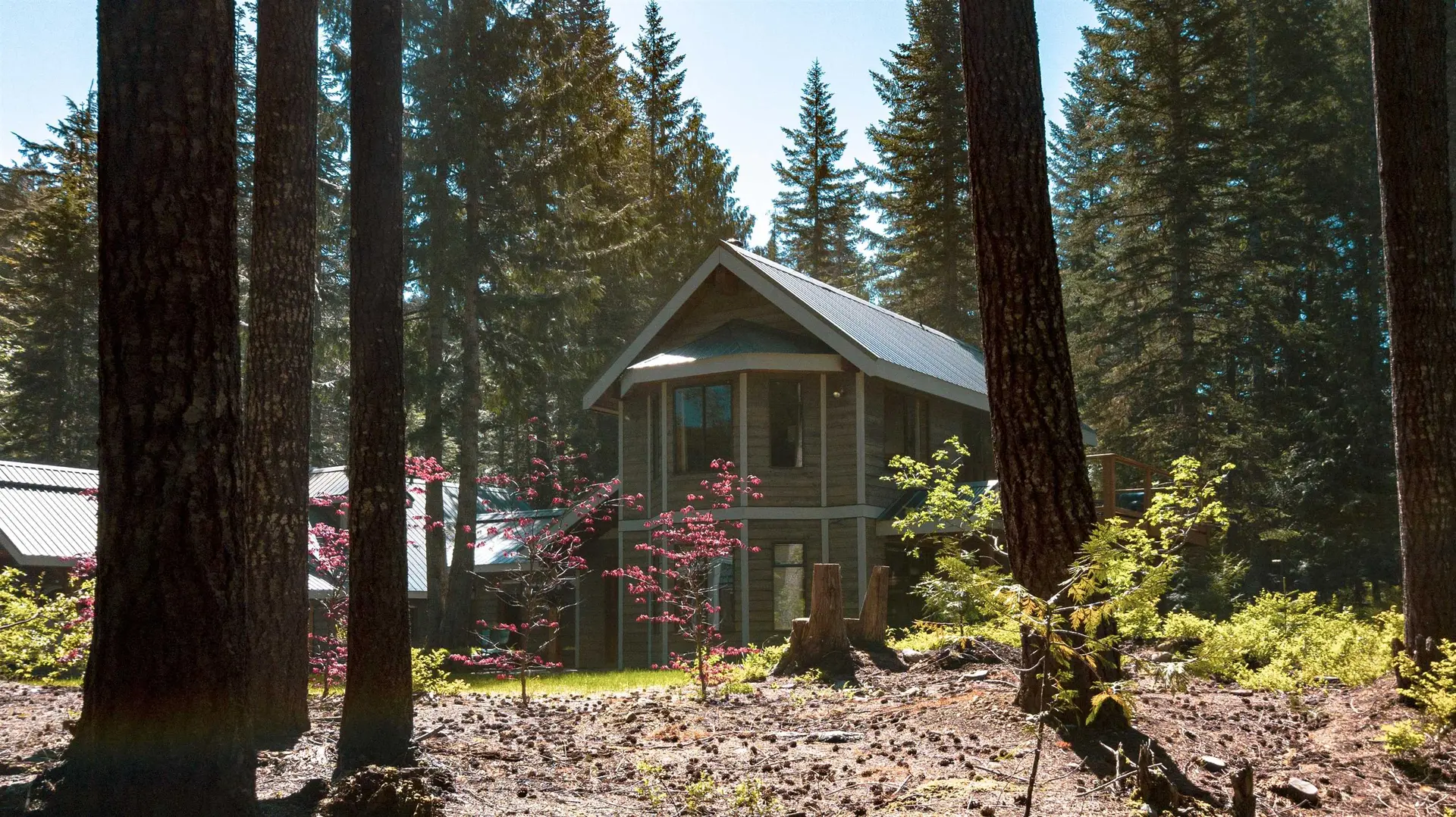 1201 CHEAKAMUS LAKE ROAD - Image 16