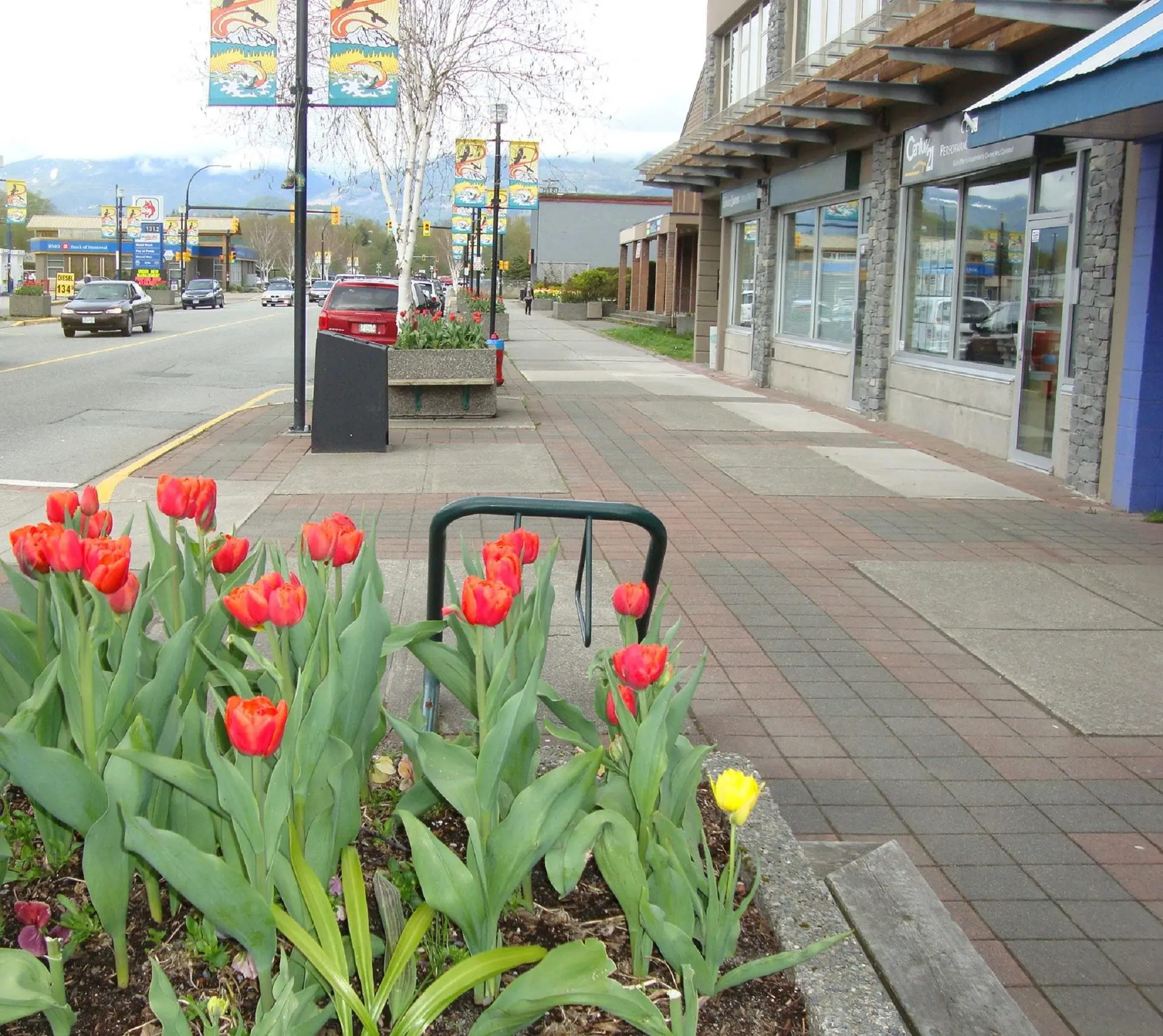 Property at 38134 CLEVELAND AVENUE, Squamish, BC