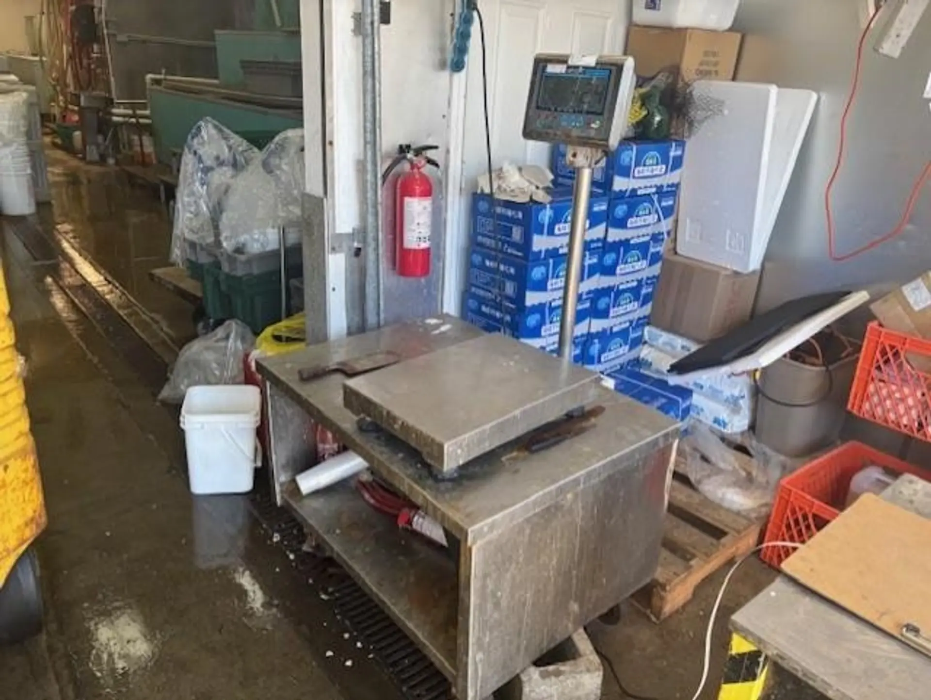 Property at #250 2268 NO. 5 ROAD, Richmond, BC