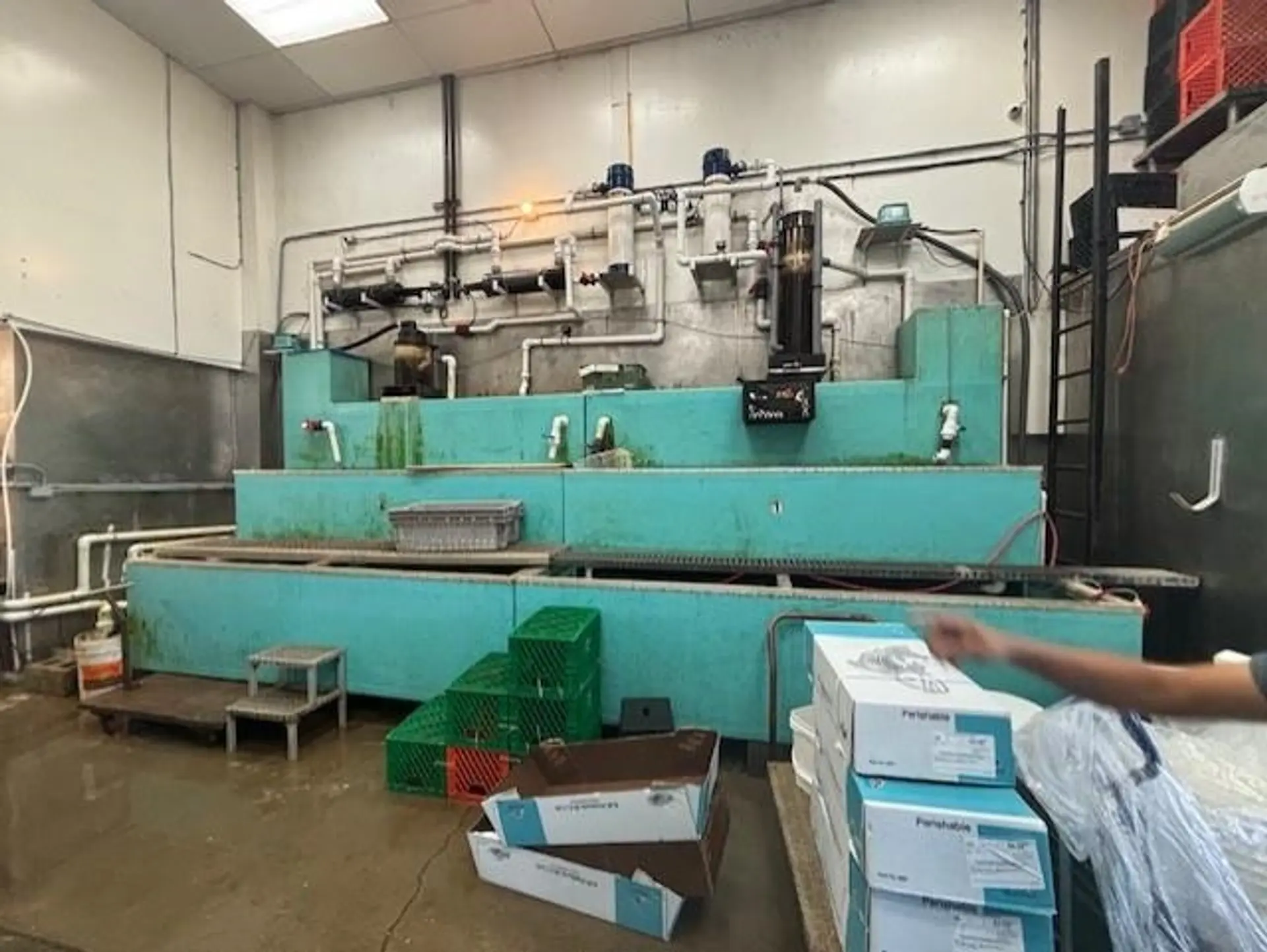 Property at #250 2268 NO. 5 ROAD, Richmond, BC