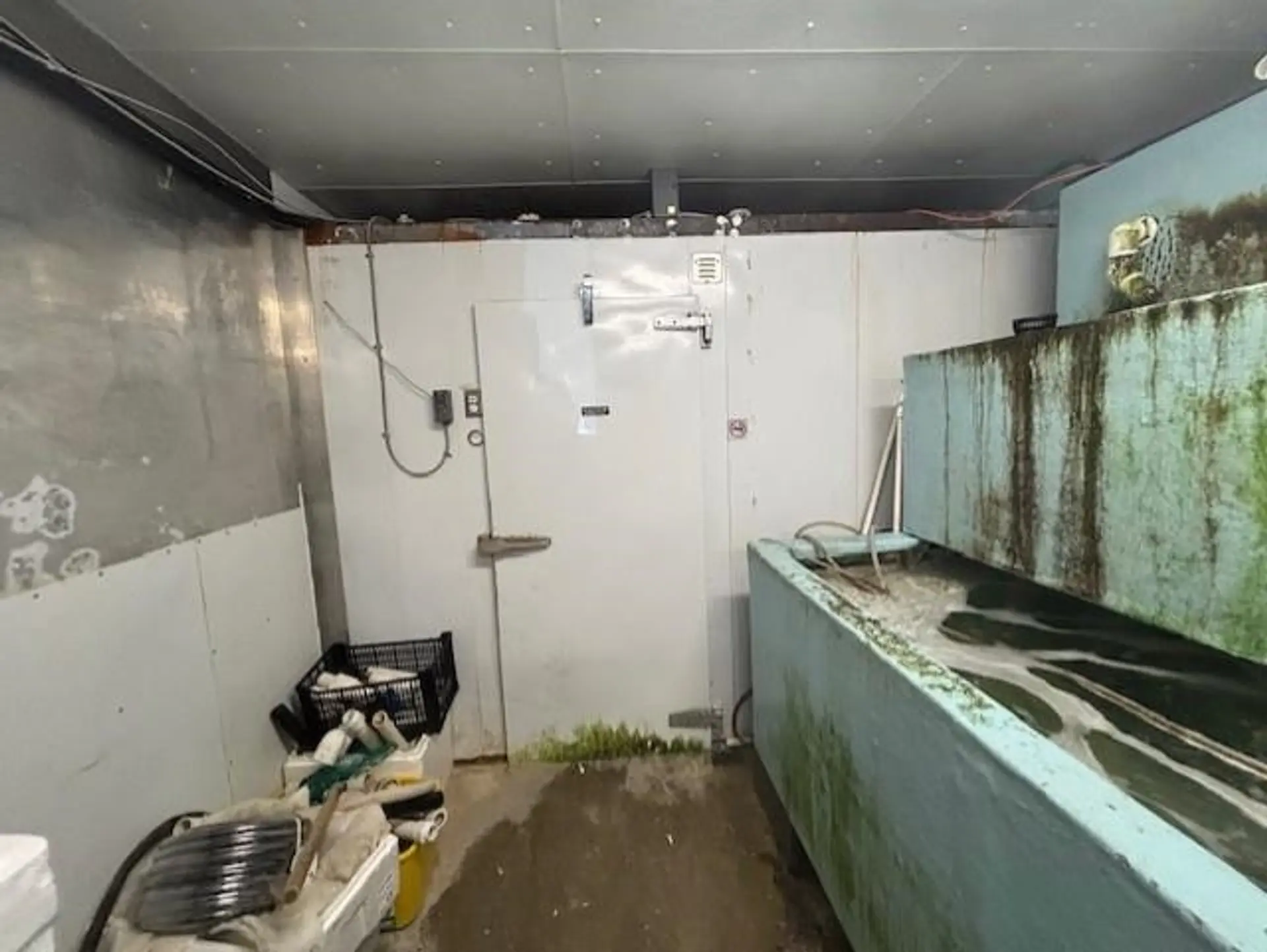 Property at #250 2268 NO. 5 ROAD, Richmond, BC