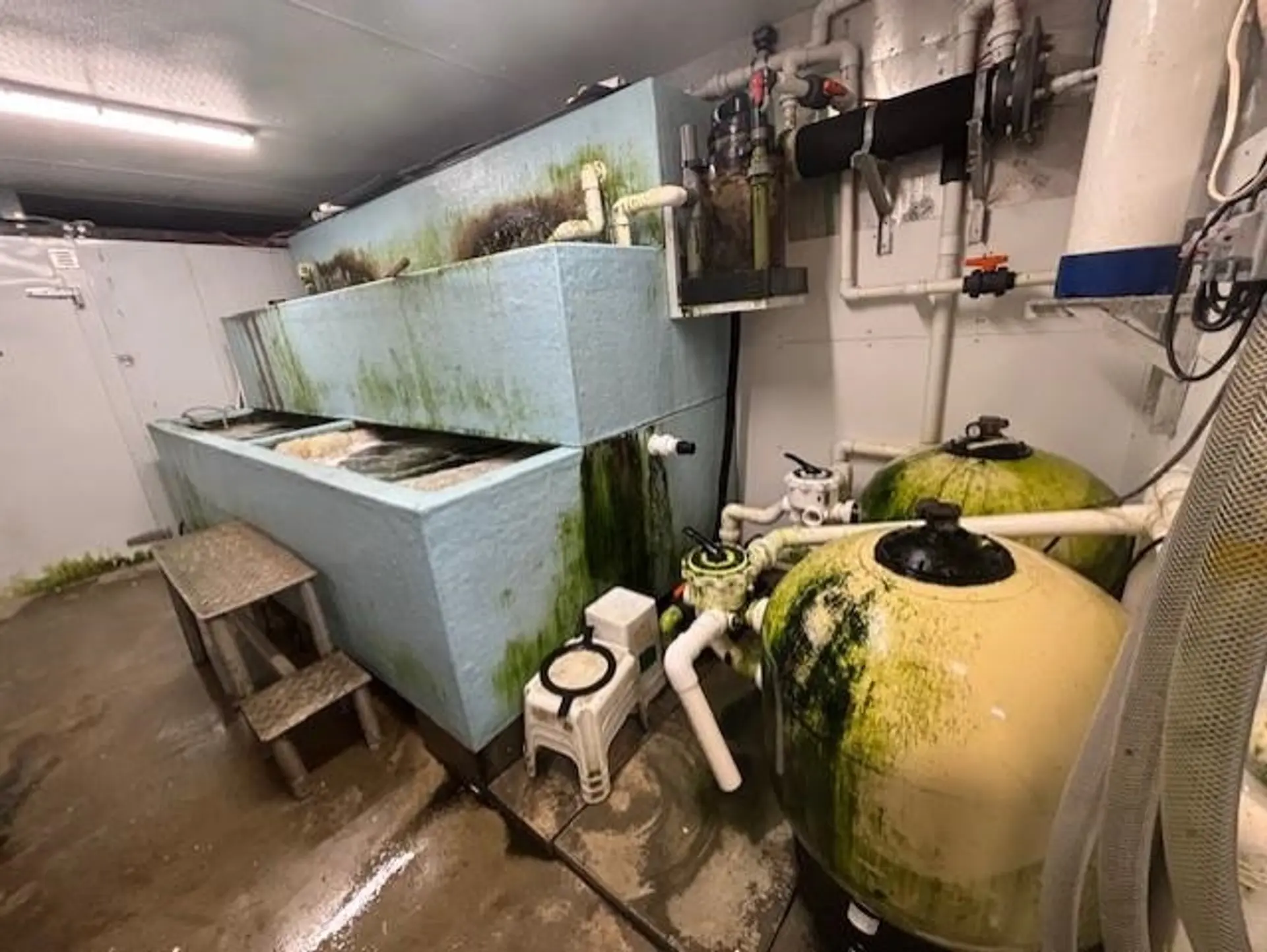 Property at #250 2268 NO. 5 ROAD, Richmond, BC