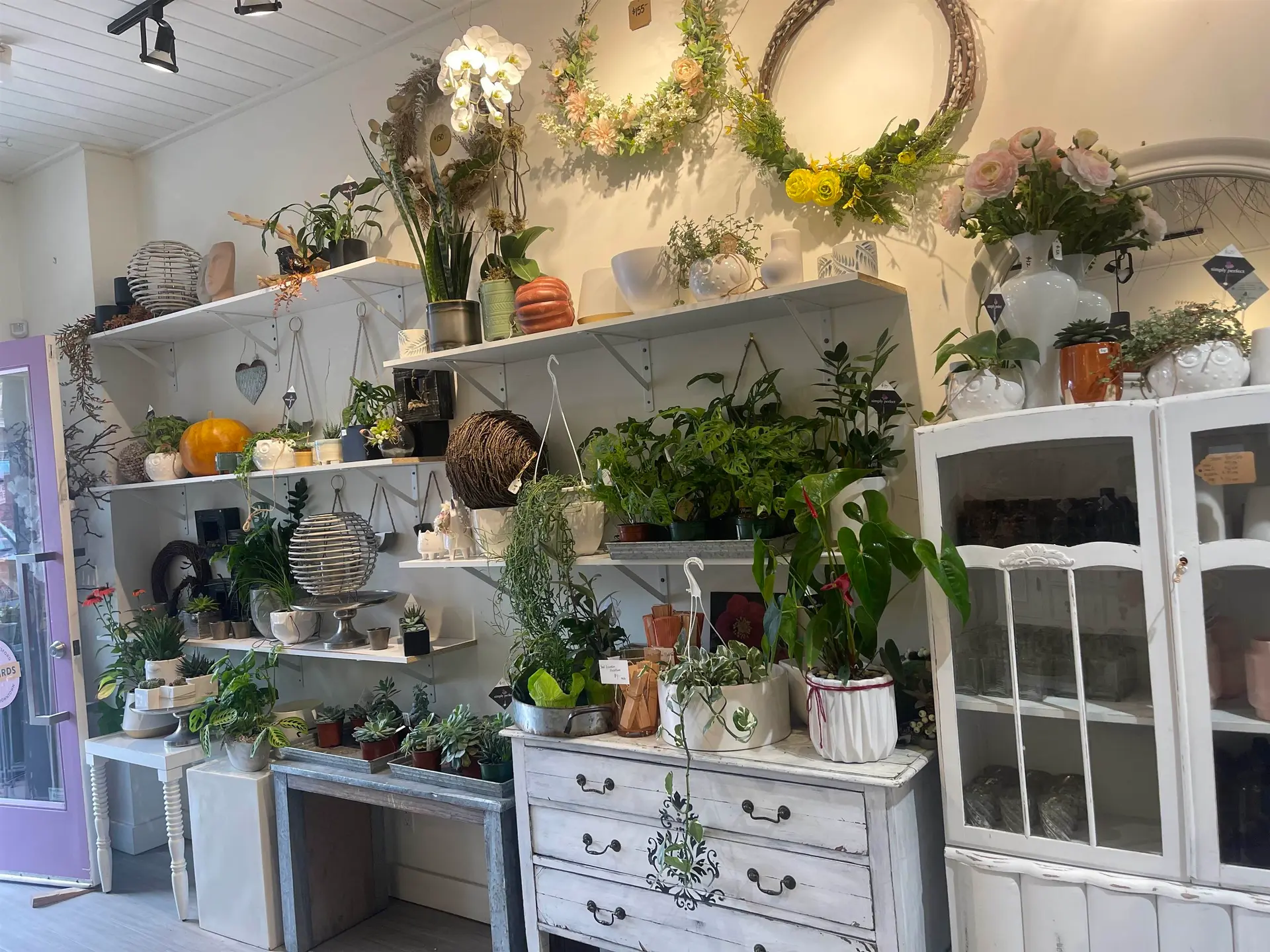 Property at #101 33721 SOUTH FRASER WAY, Abbotsford, BC