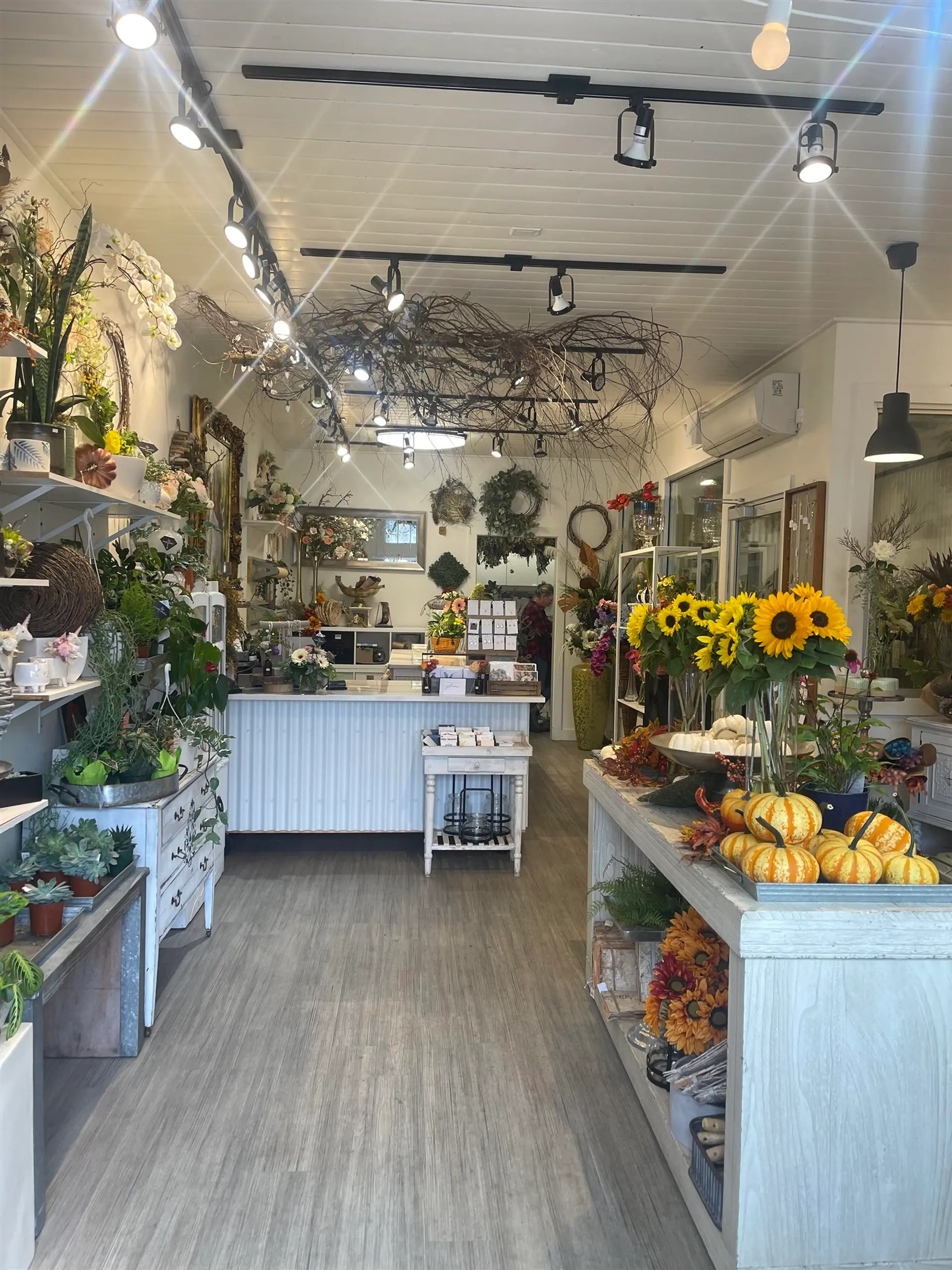 Property at #101 33721 SOUTH FRASER WAY, Abbotsford, BC