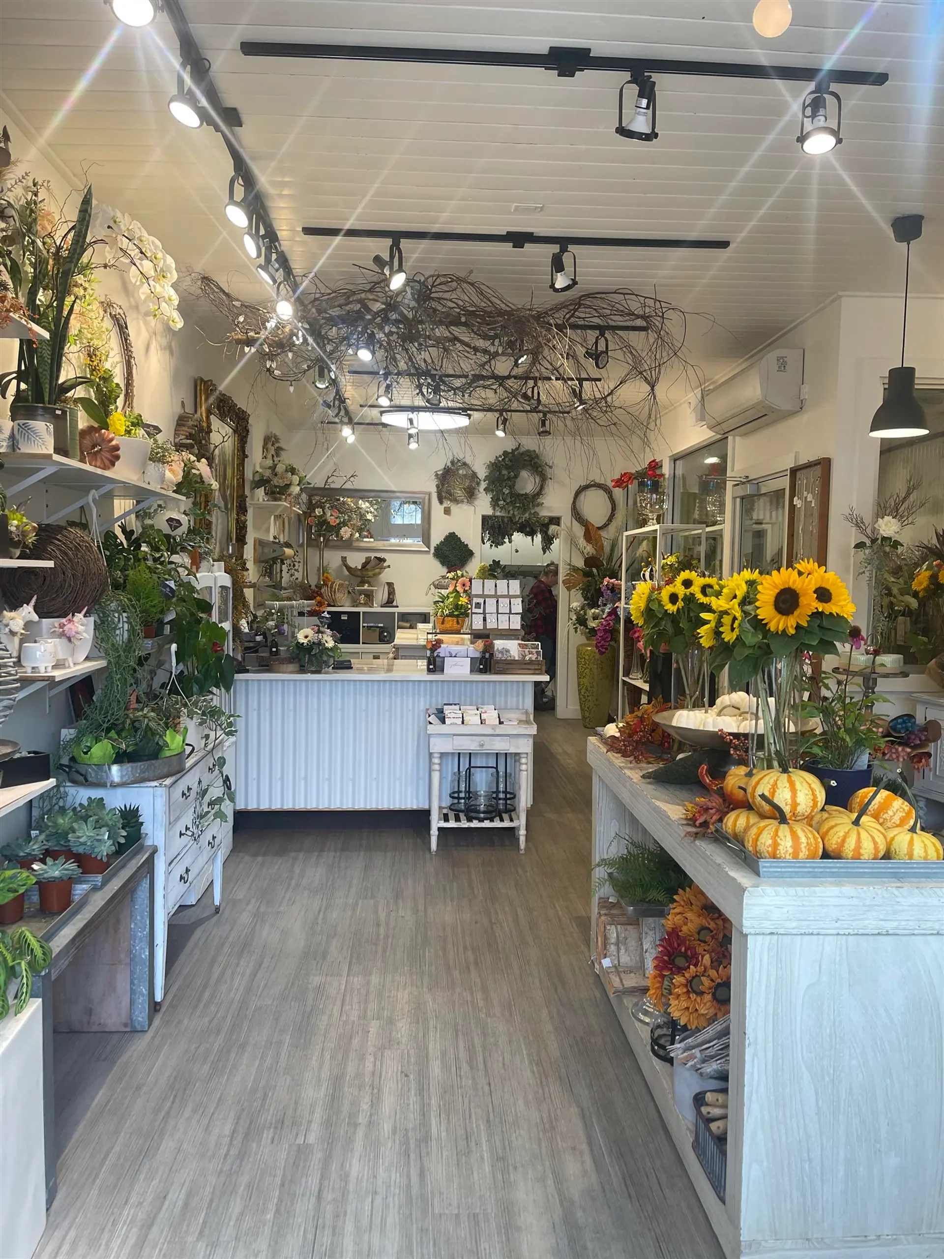 Property at #101 33721 SOUTH FRASER WAY, Abbotsford, BC