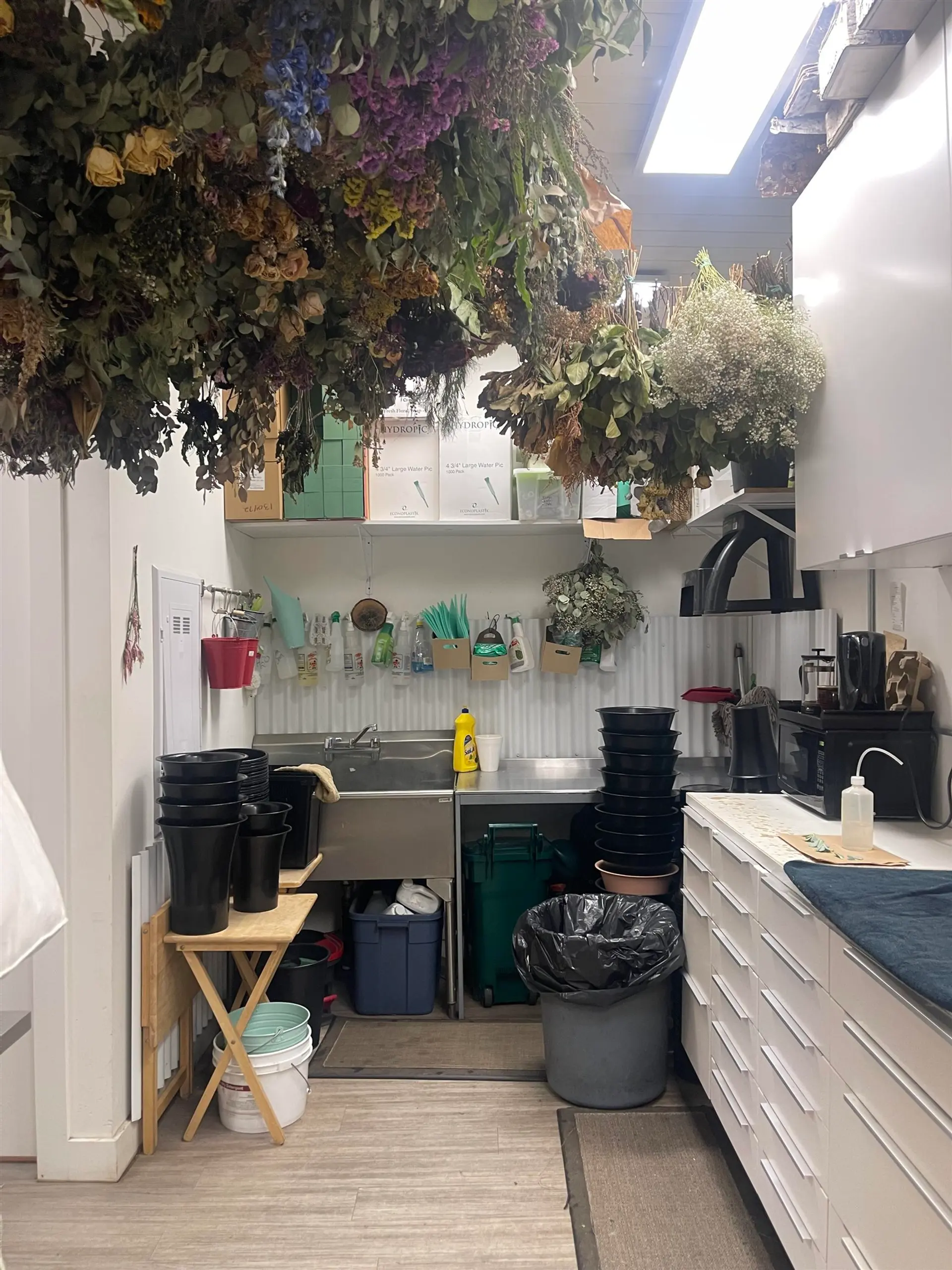 Property at #101 33721 SOUTH FRASER WAY, Abbotsford, BC