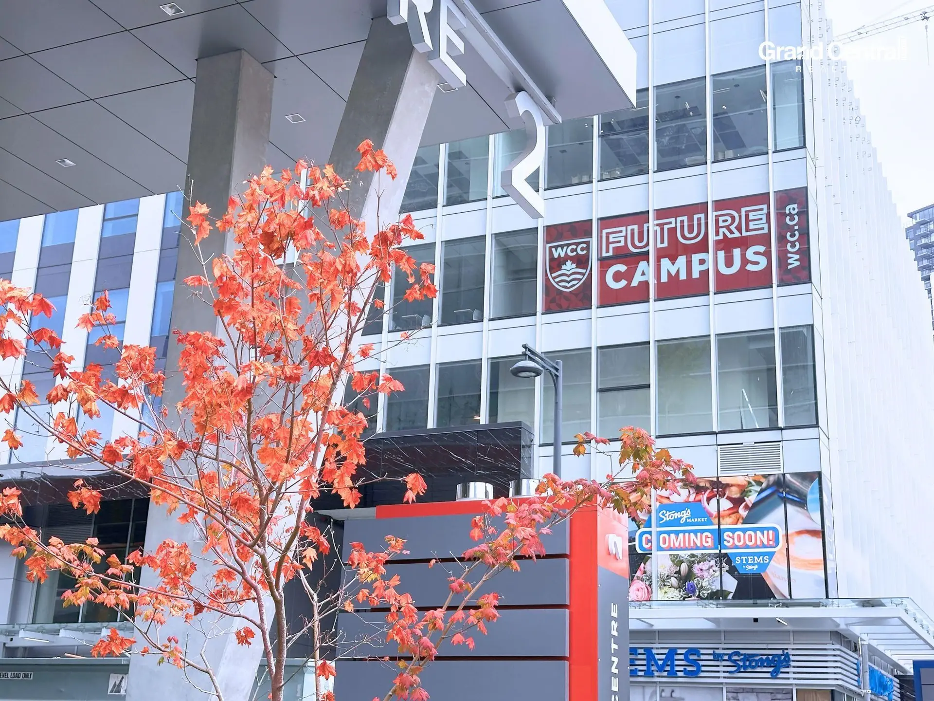 Property at #104 9686 137 STREET, Surrey, BC