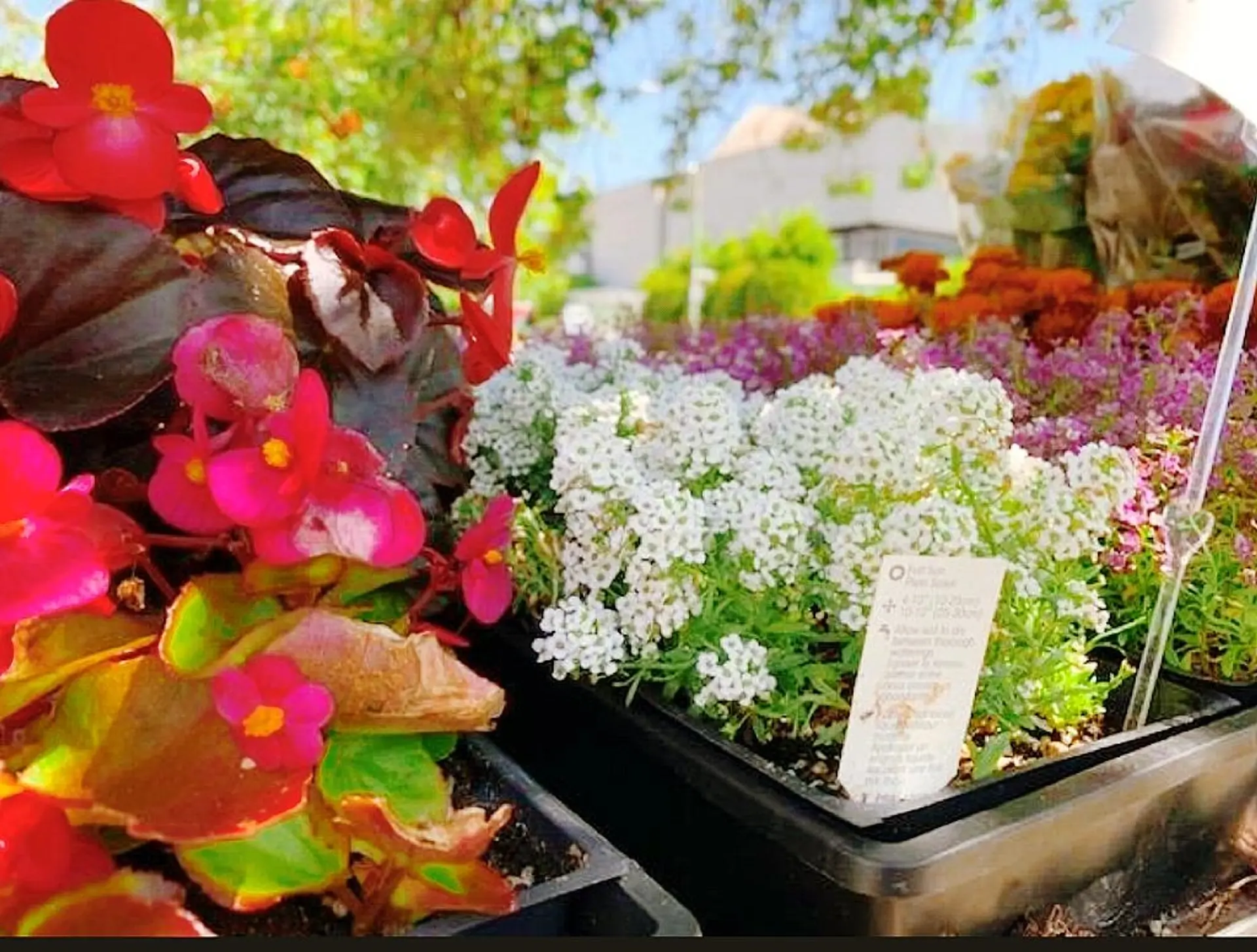 Property at 7477 VICTORIA STREET, Vancouver, BC