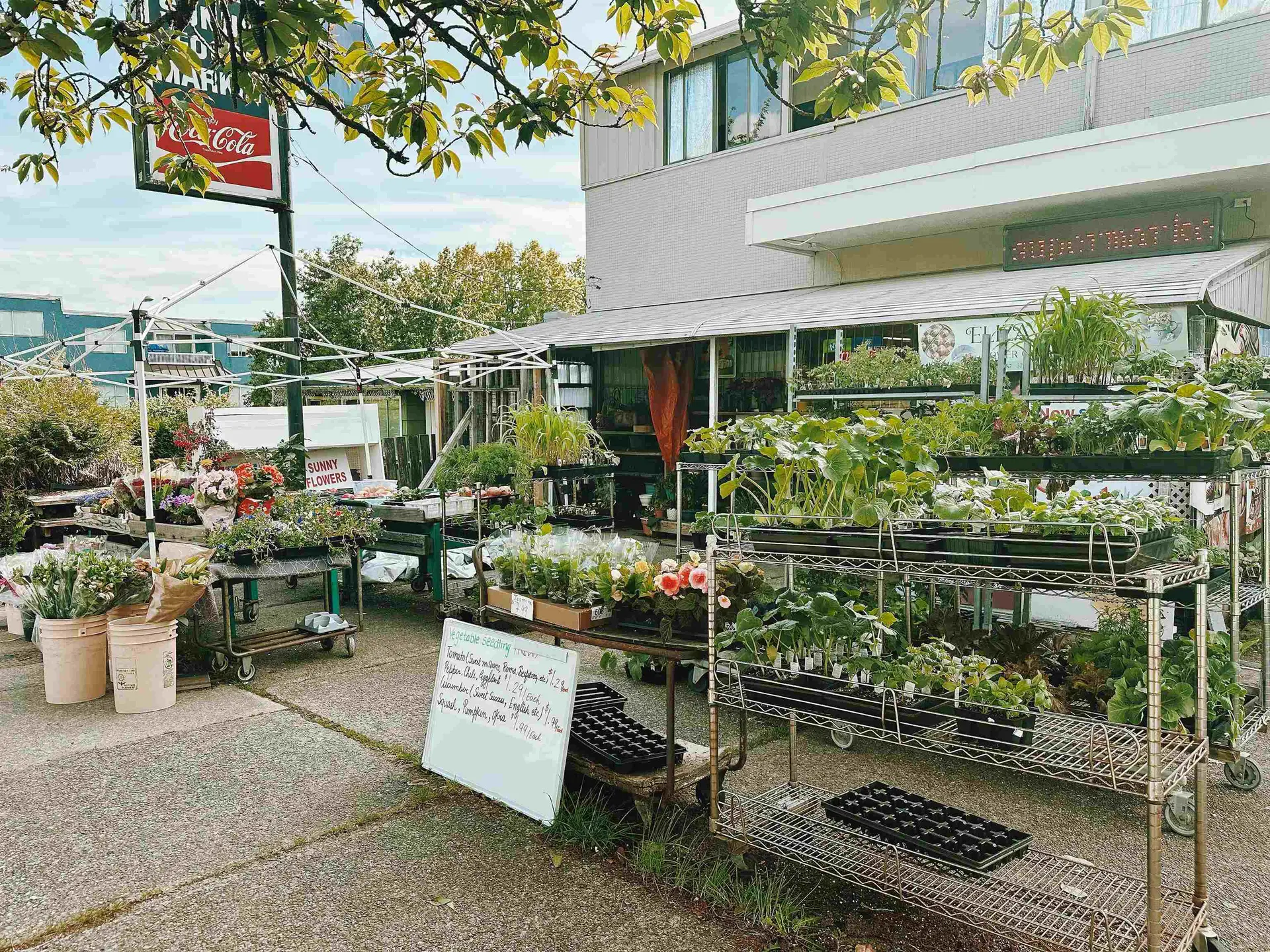 Property at 7477 VICTORIA STREET, Vancouver, BC