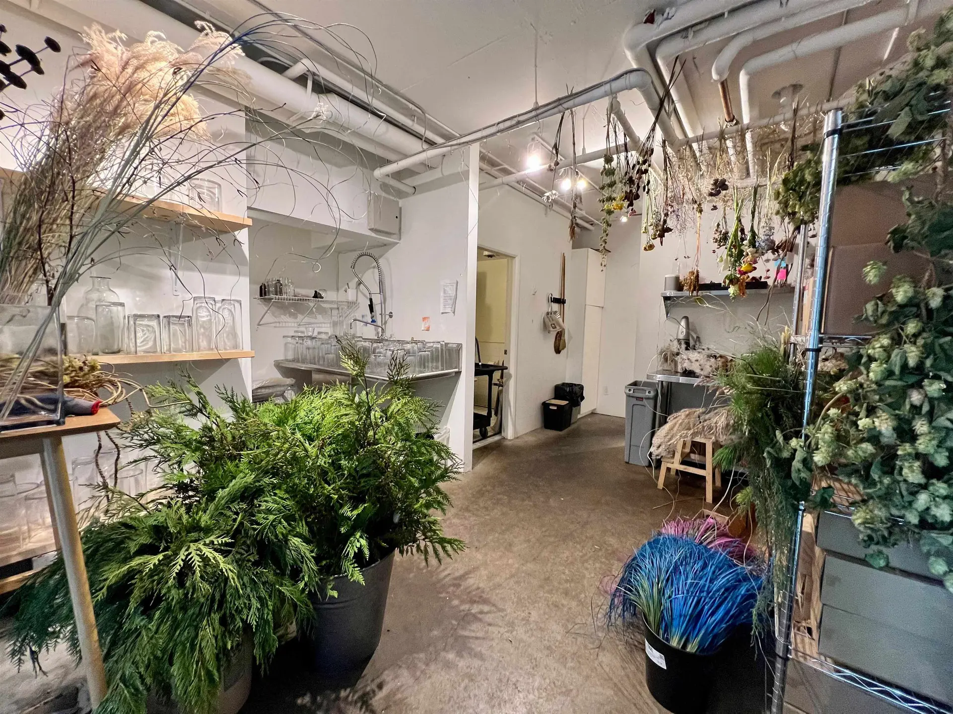 Property at 1525 W 6TH AVENUE, Vancouver, BC