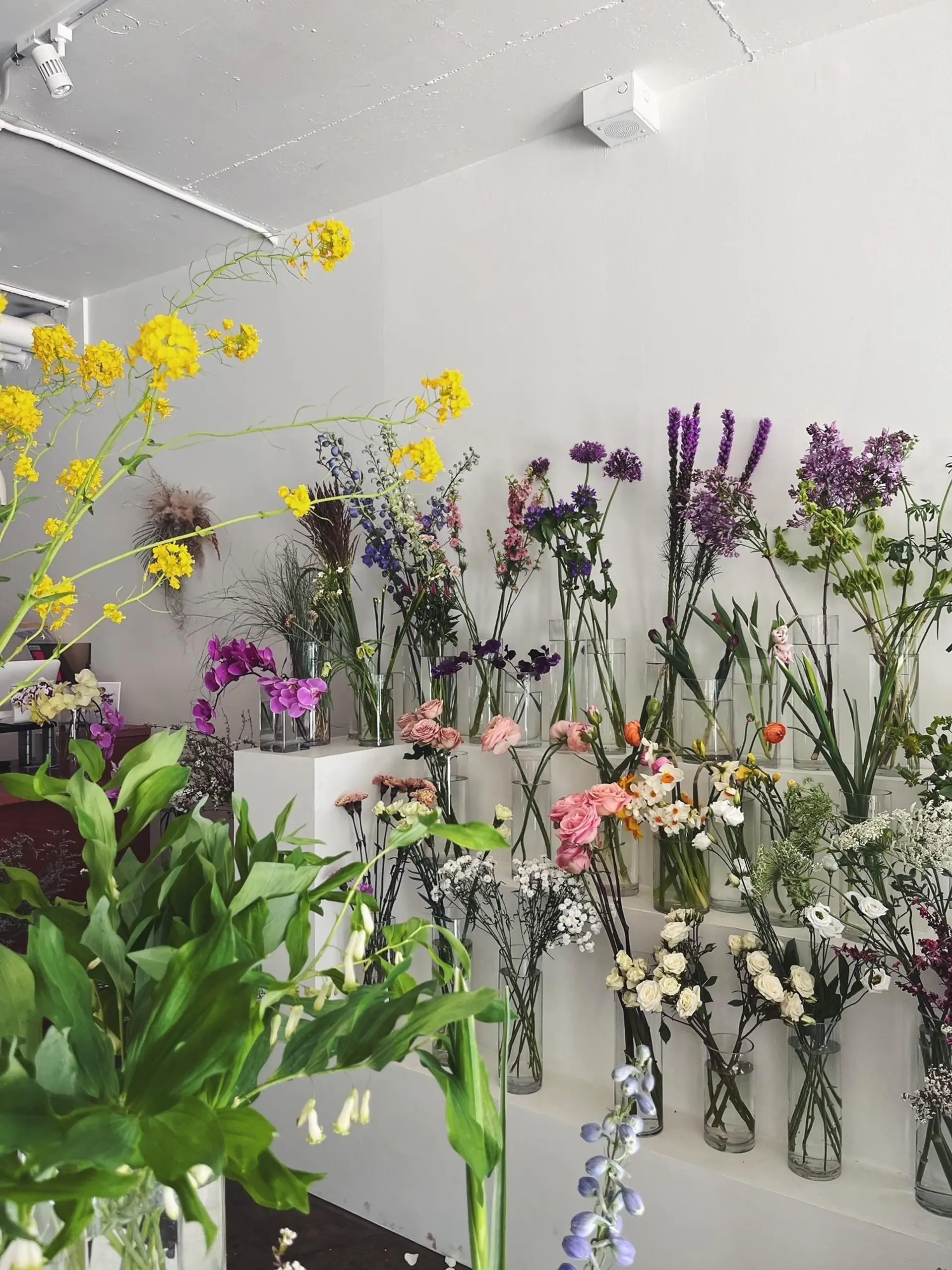 Property at 1525 W 6TH AVENUE, Vancouver, BC