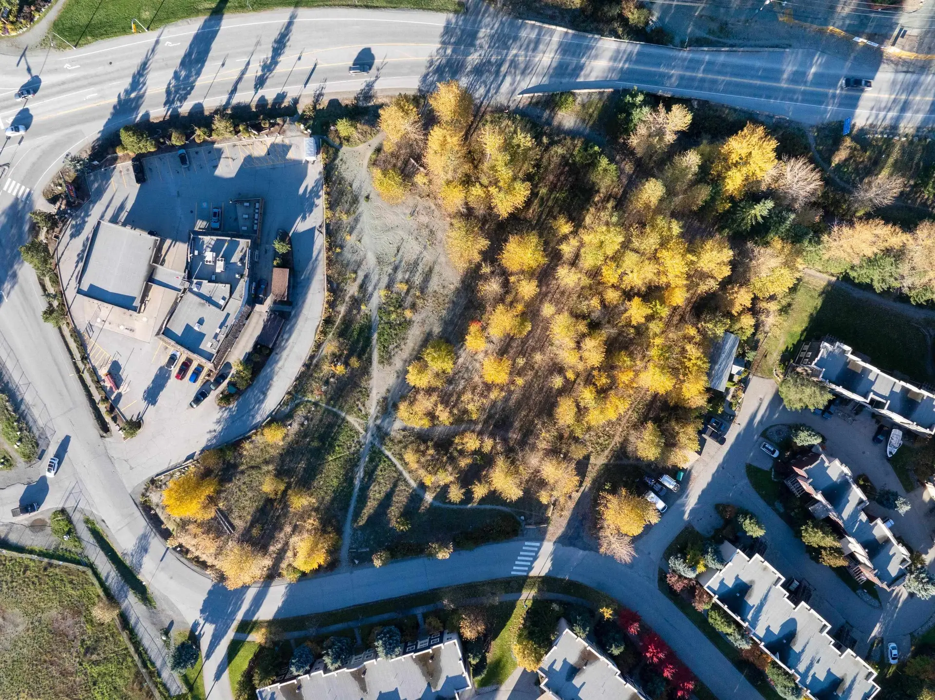 Property at 1443 VINE ROAD, Pemberton, BC