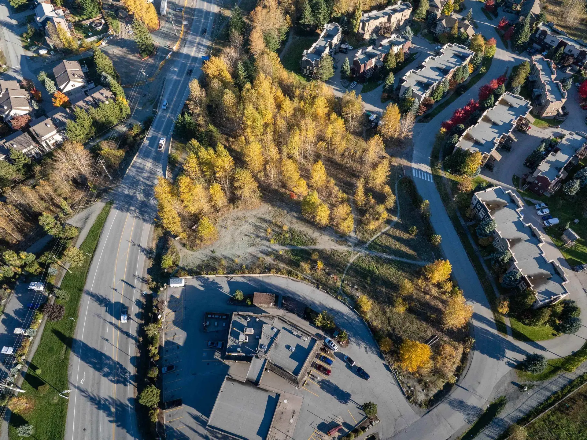 Property at 1443 VINE ROAD, Pemberton, BC