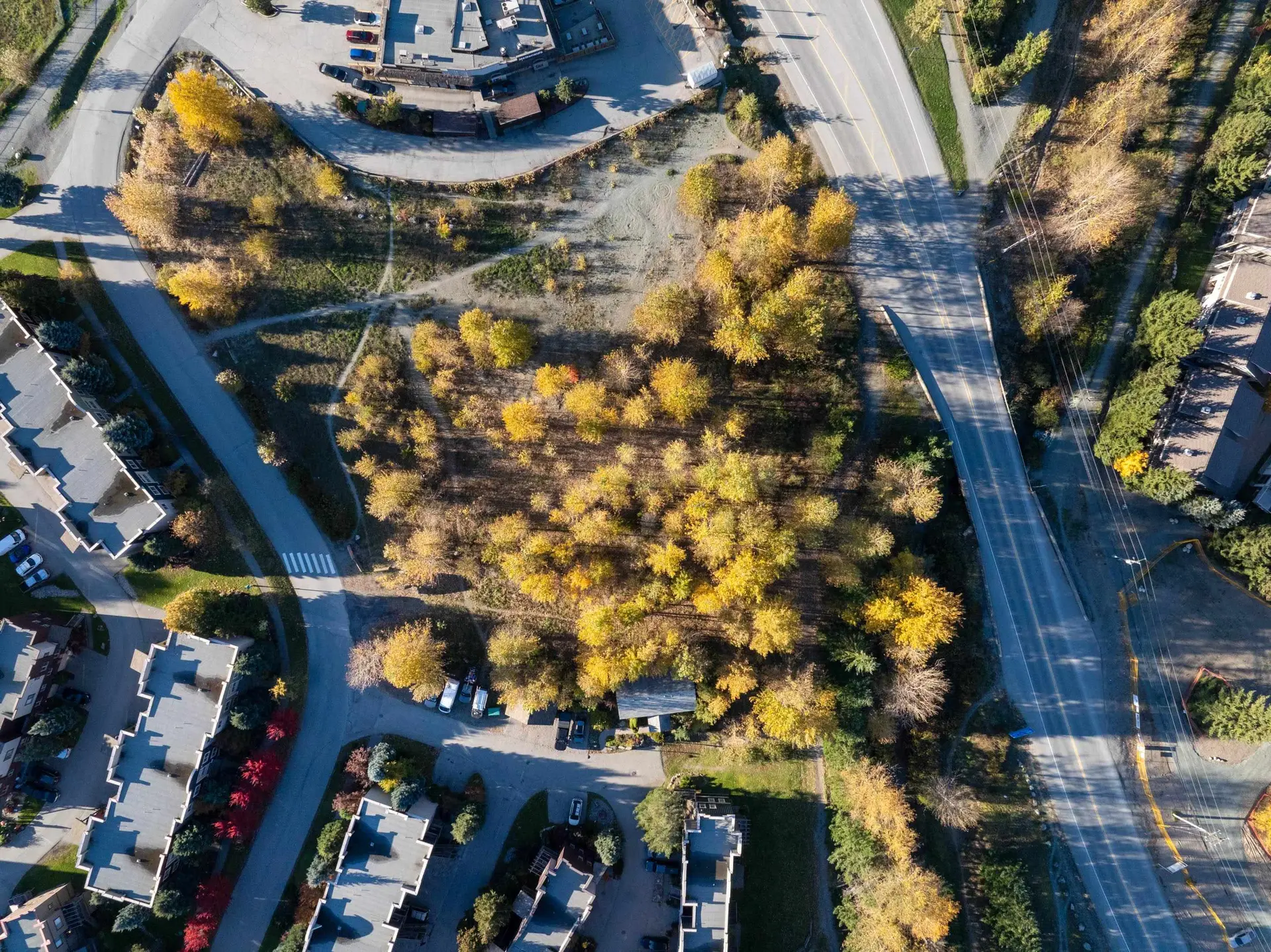 Property at 1443 VINE ROAD, Pemberton, BC