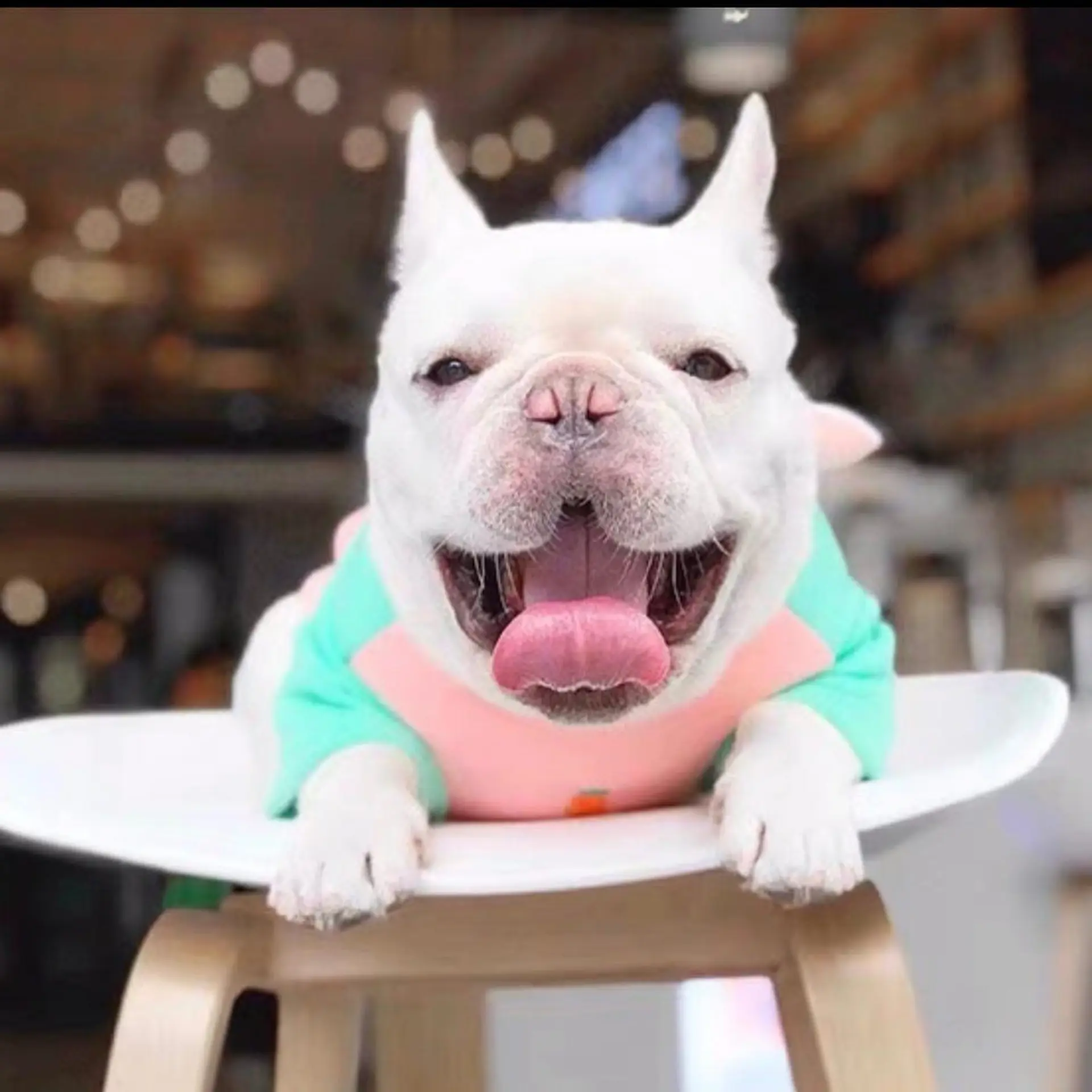 Property at #120 12871 CLARKE PLACE, Richmond, BC