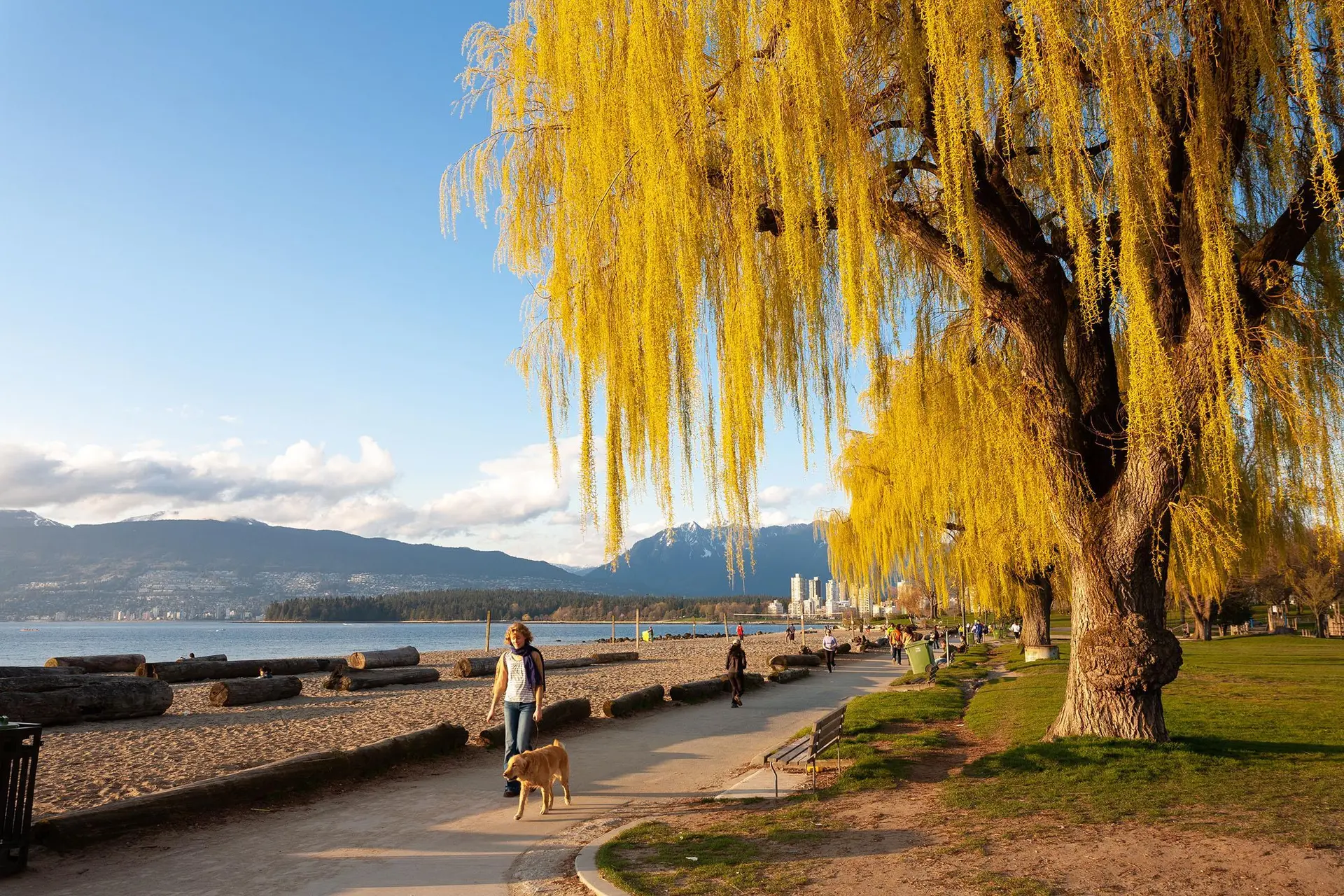 Property at 3357 W 4TH AVENUE, Vancouver, BC