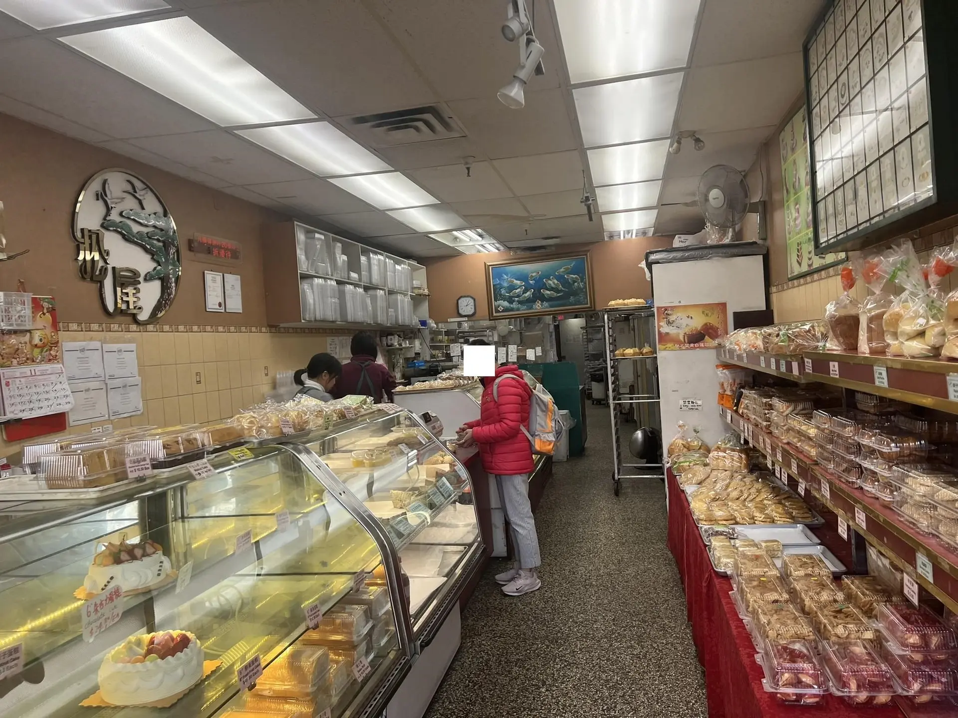 Property at 5868 VICTORIA DRIVE, Vancouver, BC