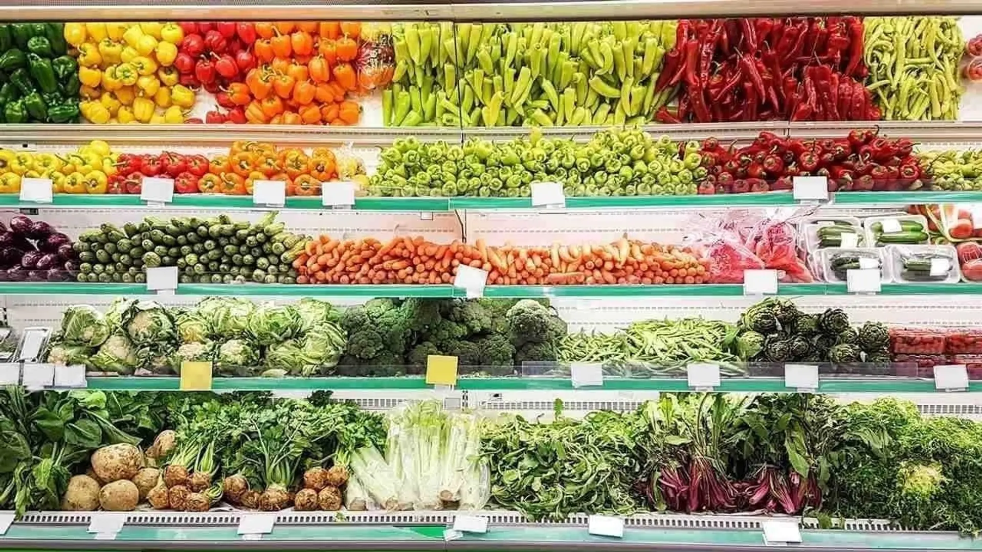 Property at [private address], Surrey, BC