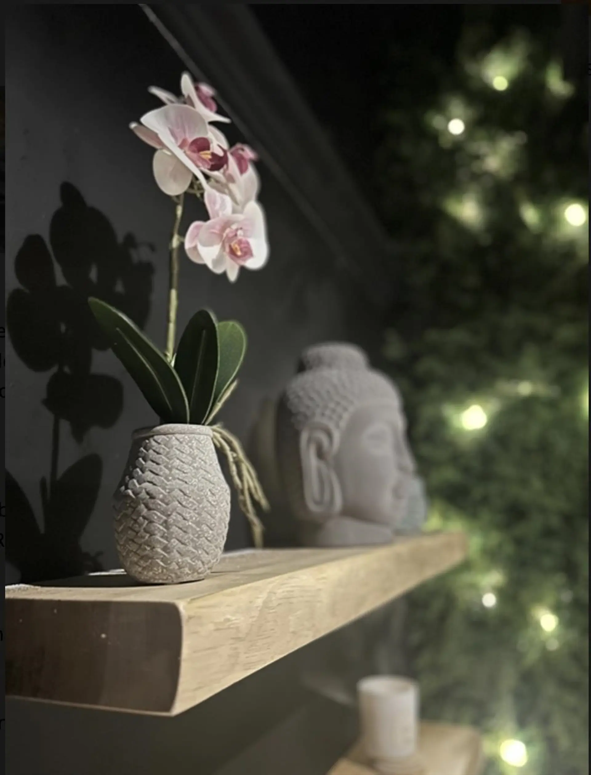 Property at 814A BRUNETTE AVENUE, Coquitlam, BC