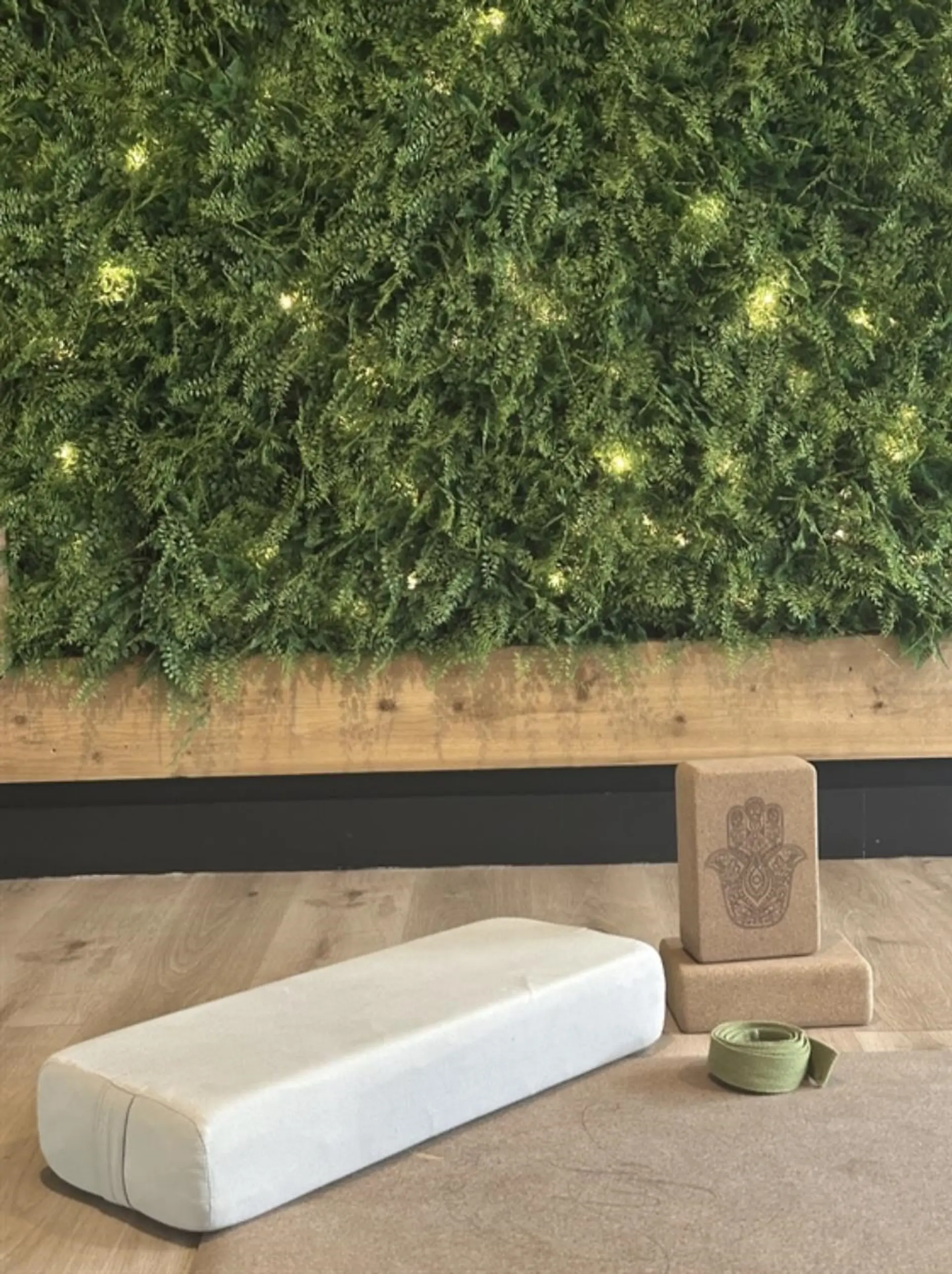 Property at 814A BRUNETTE AVENUE, Coquitlam, BC