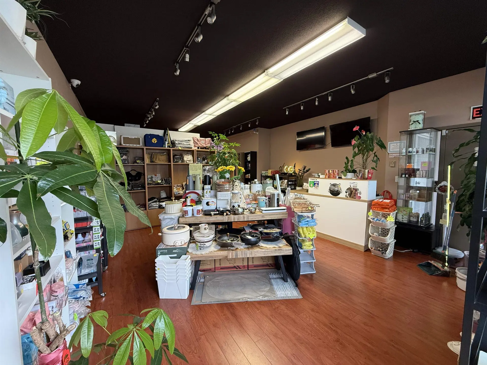 Property at #228 13986 CAMBIE ROAD, Richmond, BC