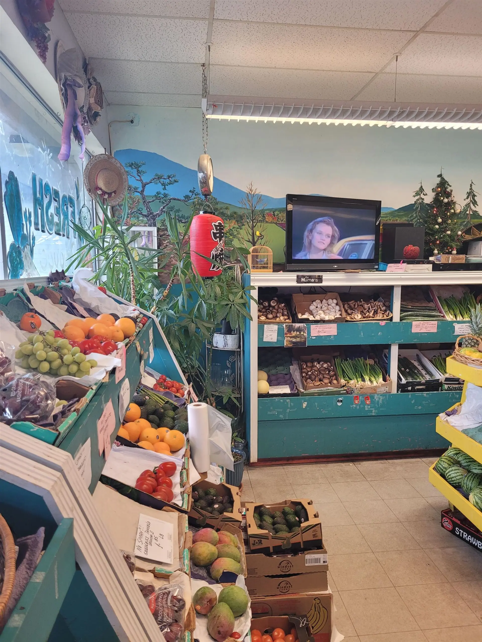 Property at 1257 JOHNSTON ROAD, White Rock, BC