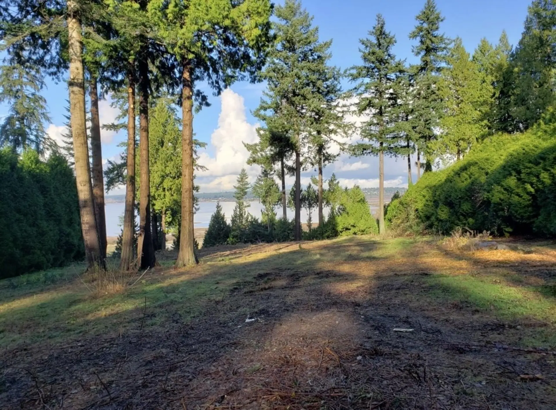 Property at 13005 CRESCENT ROAD, Surrey, BC