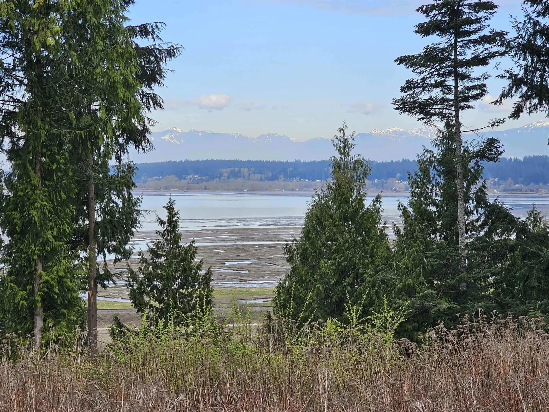 Property at 13005 CRESCENT ROAD, Surrey, BC