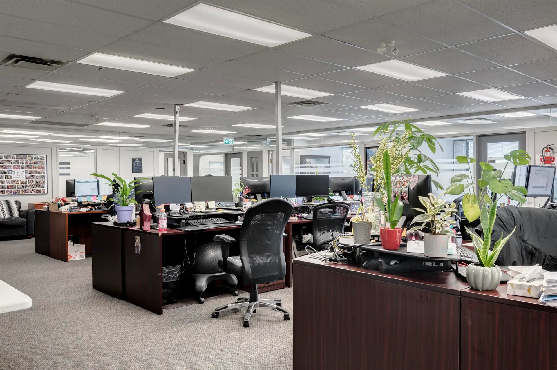 Property at #310+330 10524 KING GEORGE BOULEVARD, Surrey, BC