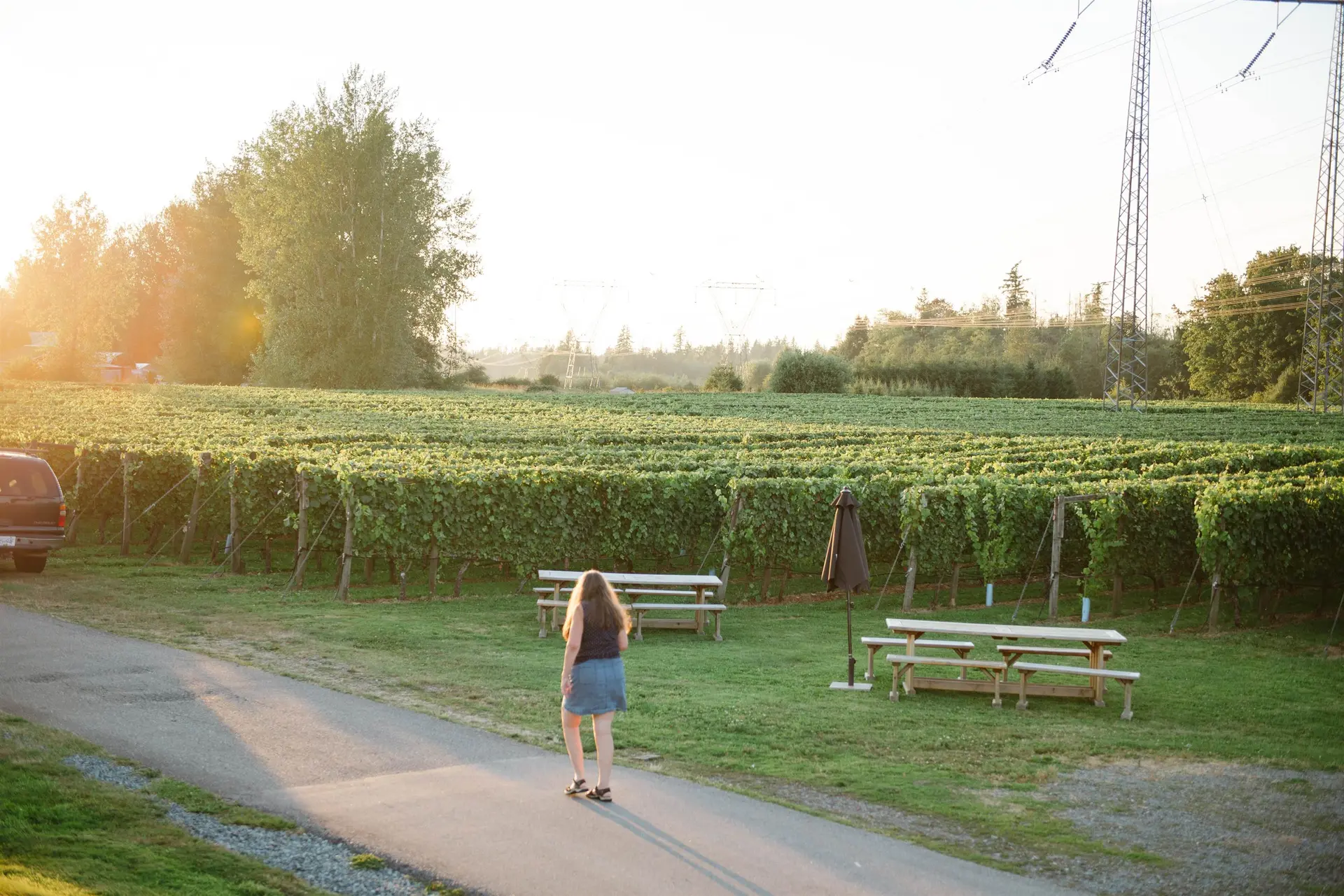 Property at 3033 232 STREET, Langley, BC