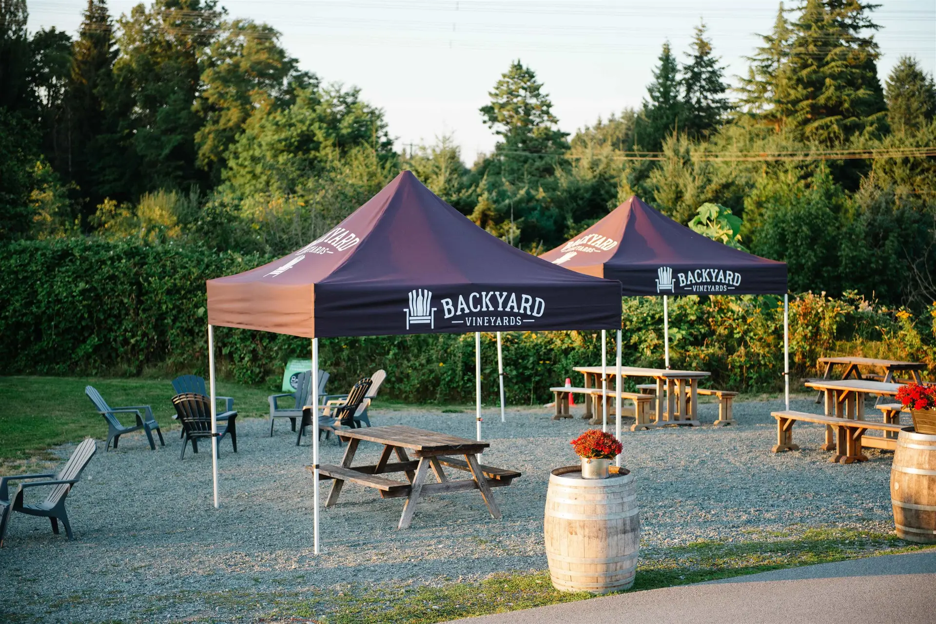 Property at 3033 232 STREET, Langley, BC