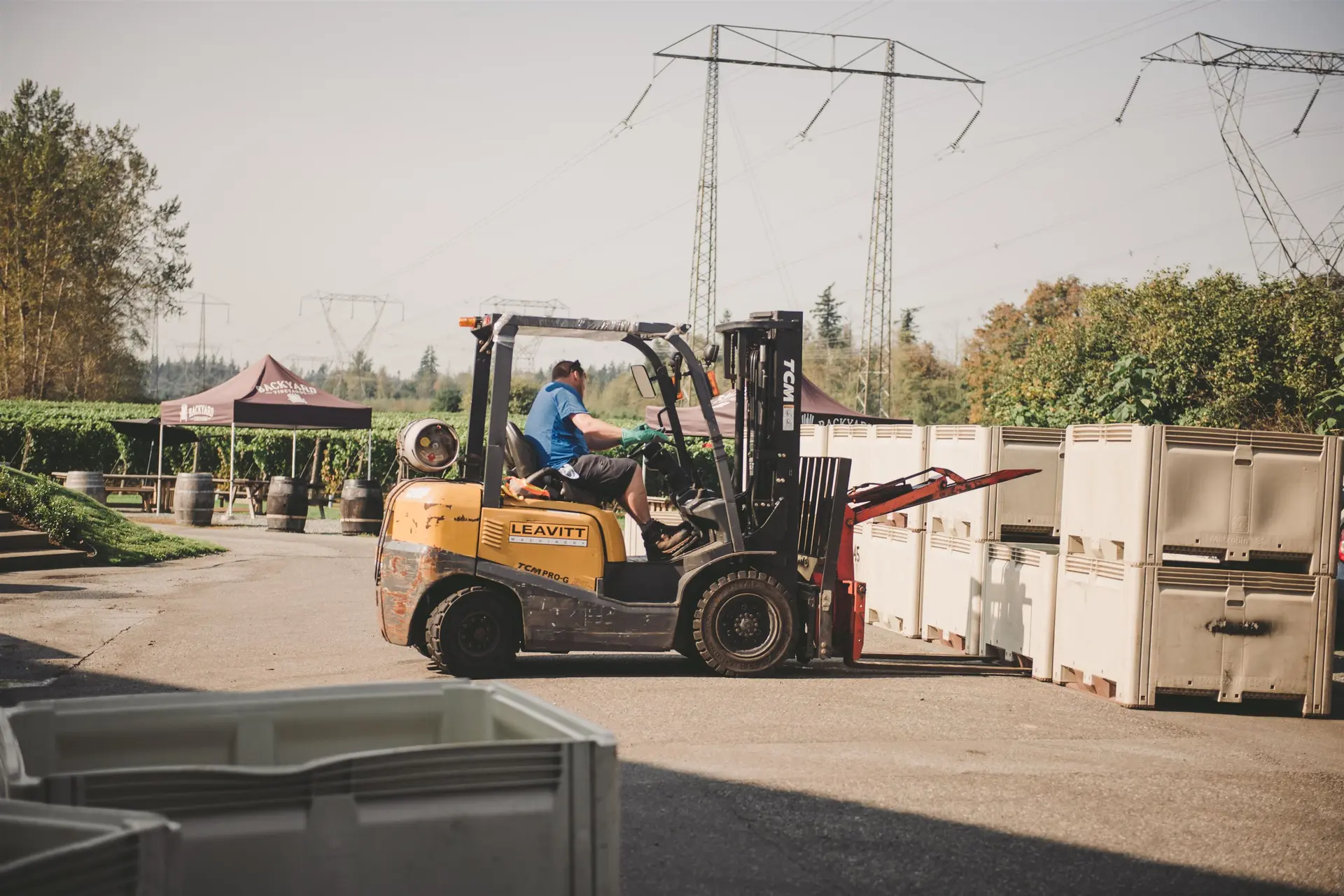 Property at 3033 232 STREET, Langley, BC