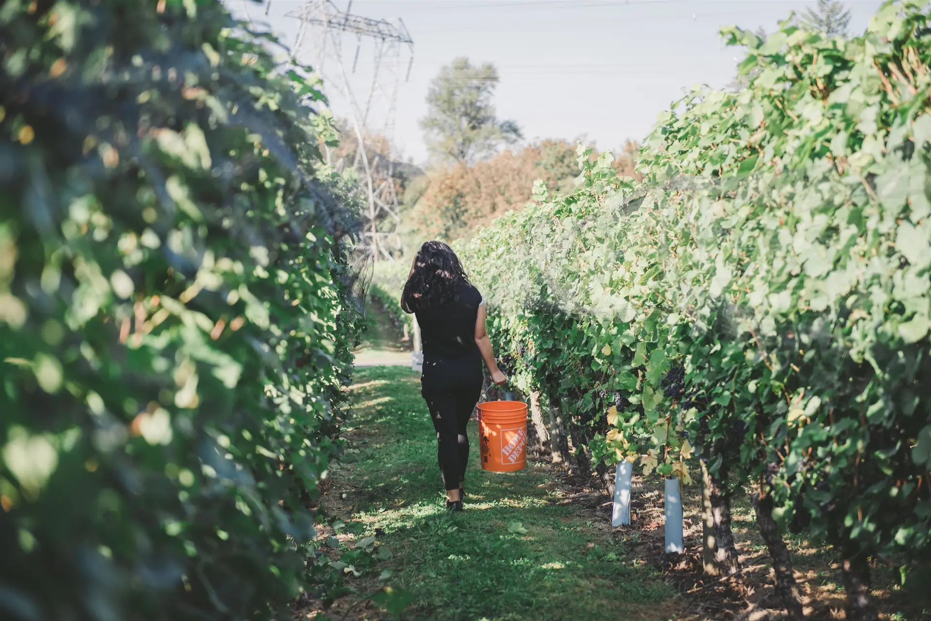 Property at 3033 232 STREET, Langley, BC