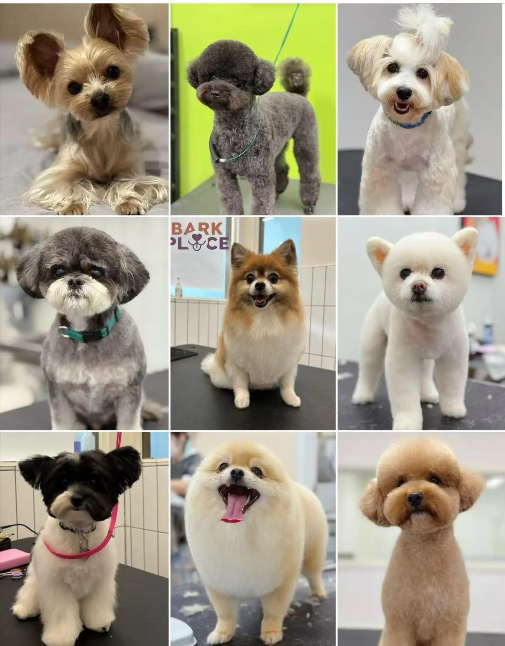 Property at #103 14390 64 AVENUE, Surrey, BC