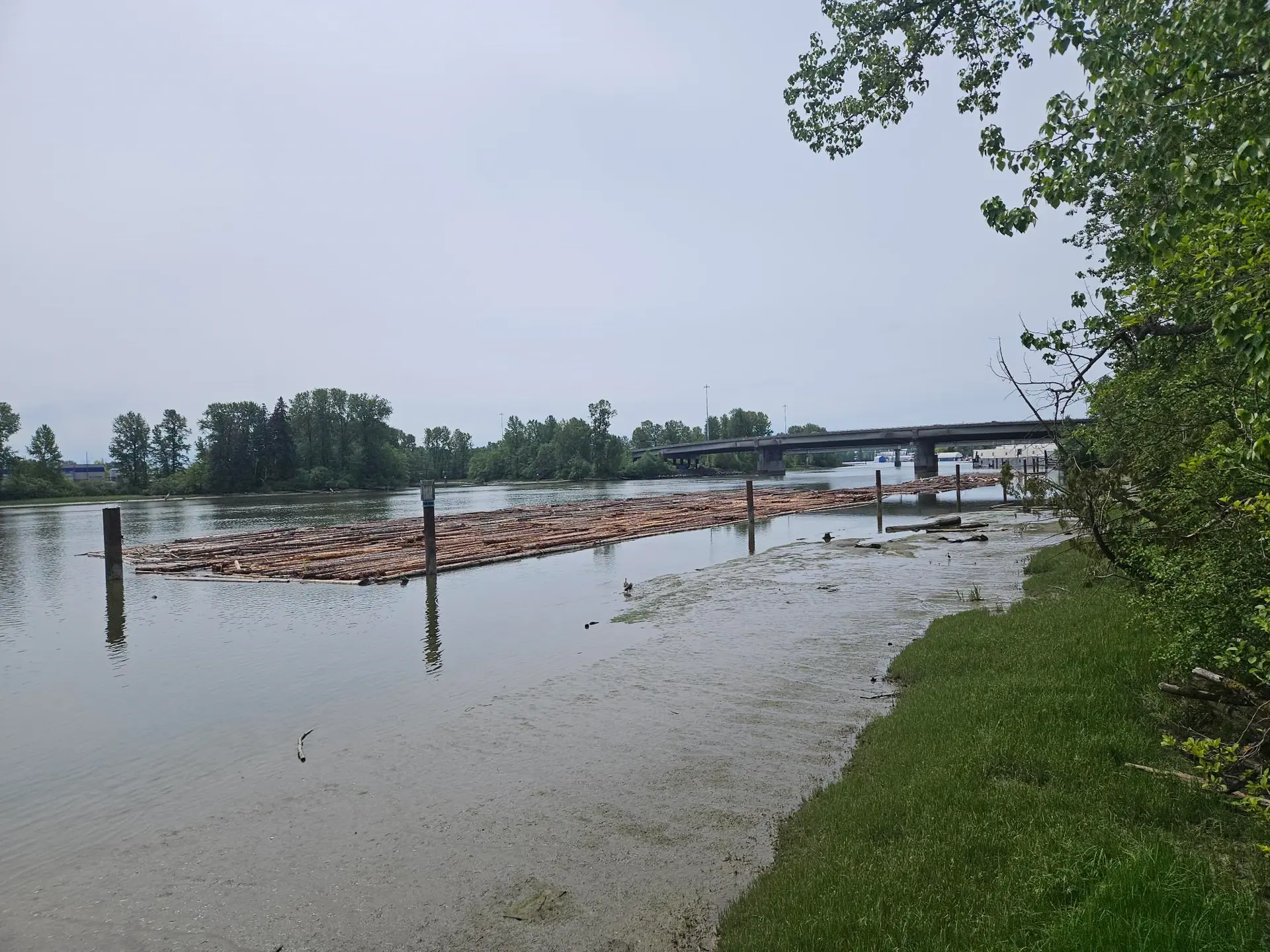 Property at #205 23251 FRASERWOOD WAY, Richmond, BC