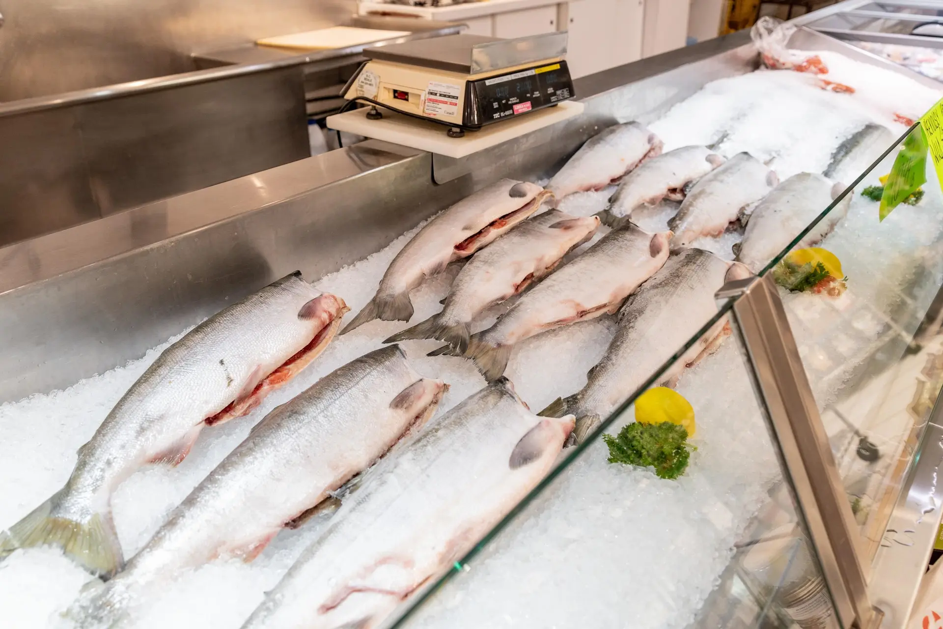 Property at 5229A LADNER TRUNK ROAD, Ladner, BC