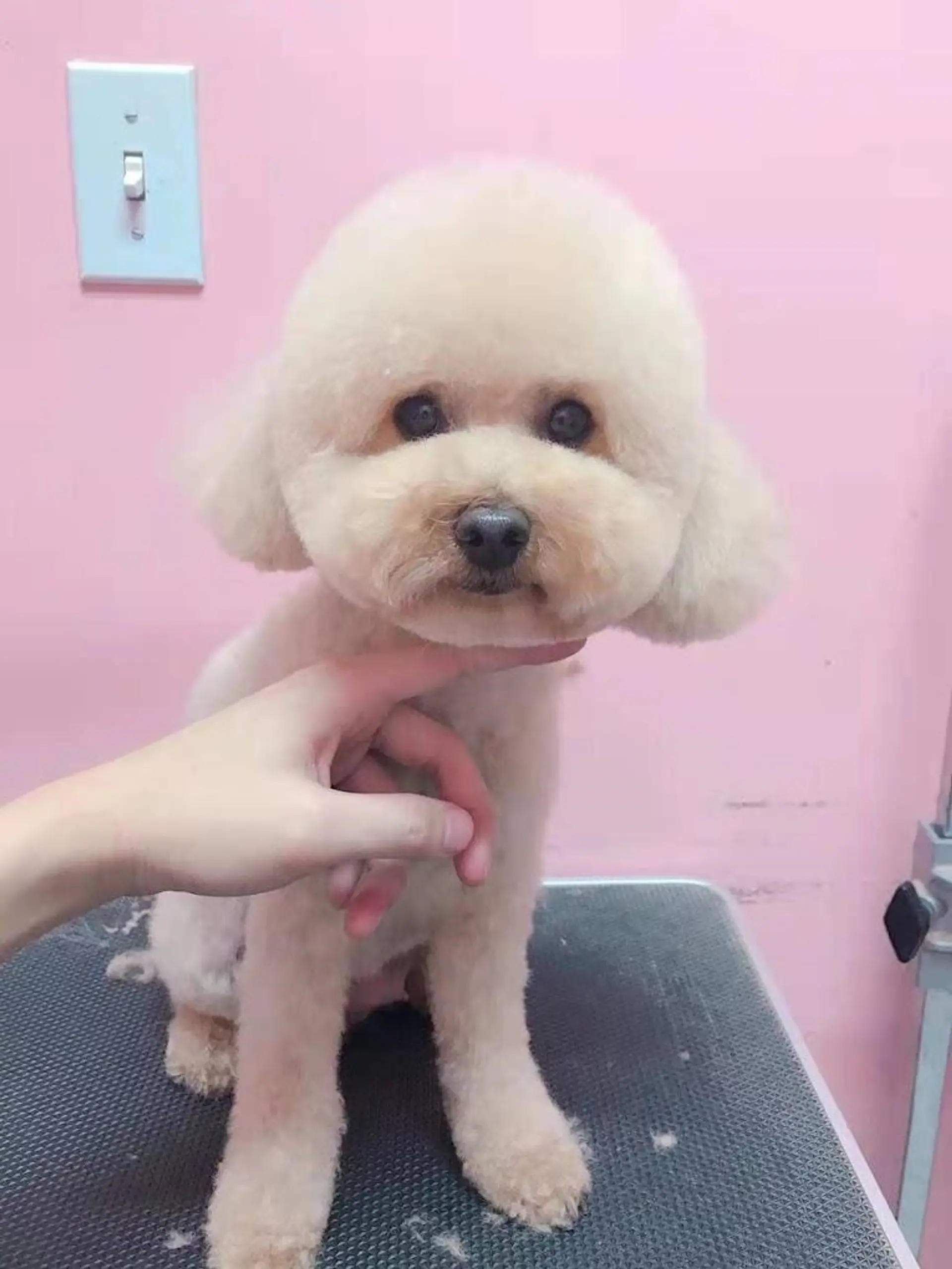 Property at 6287 KINGSWAY, Burnaby, BC